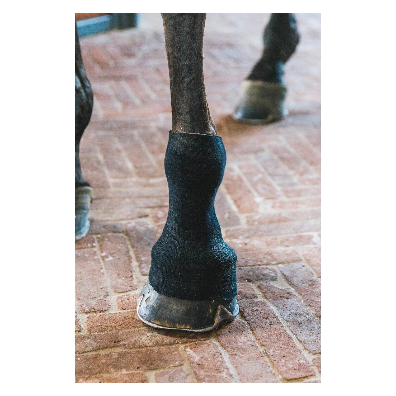 KENTUCKY Bandagenstrumpf Tendon Grip Gel – Ansicht 4