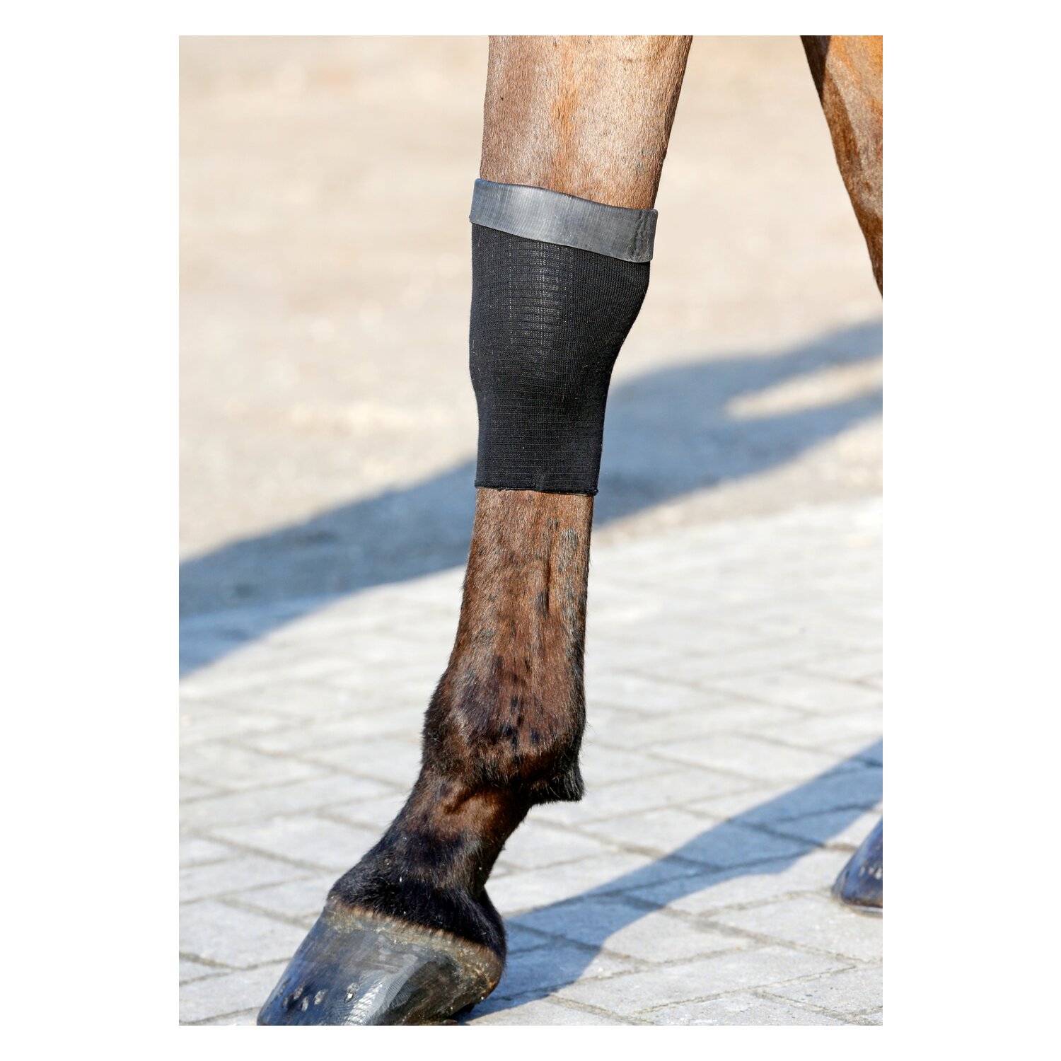 KENTUCKY Bandagenstrumpf Tendon Grip Gel – Ansicht 5