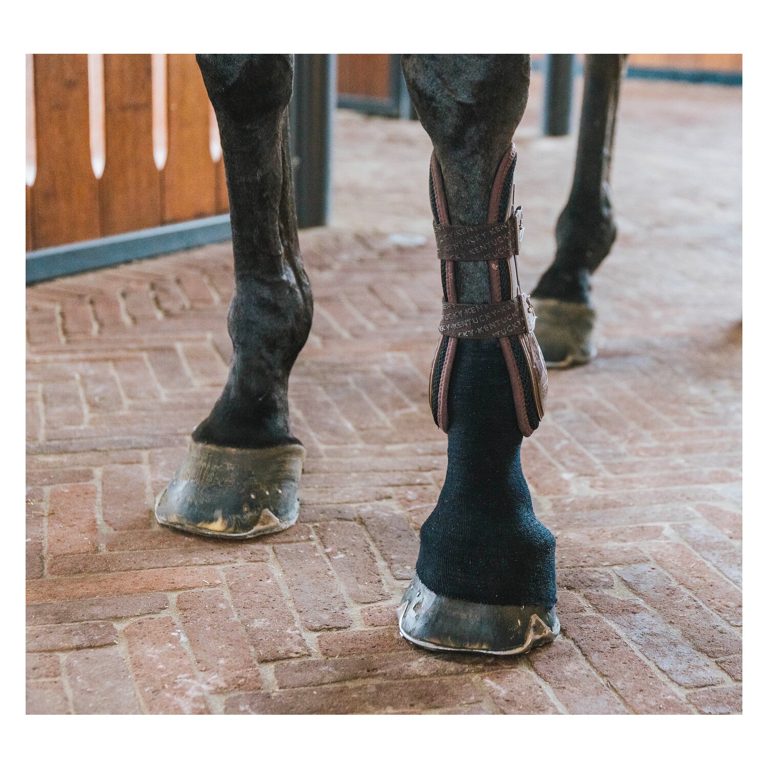 KENTUCKY Bandagenstrumpf Tendon Grip Gel – Ansicht 6