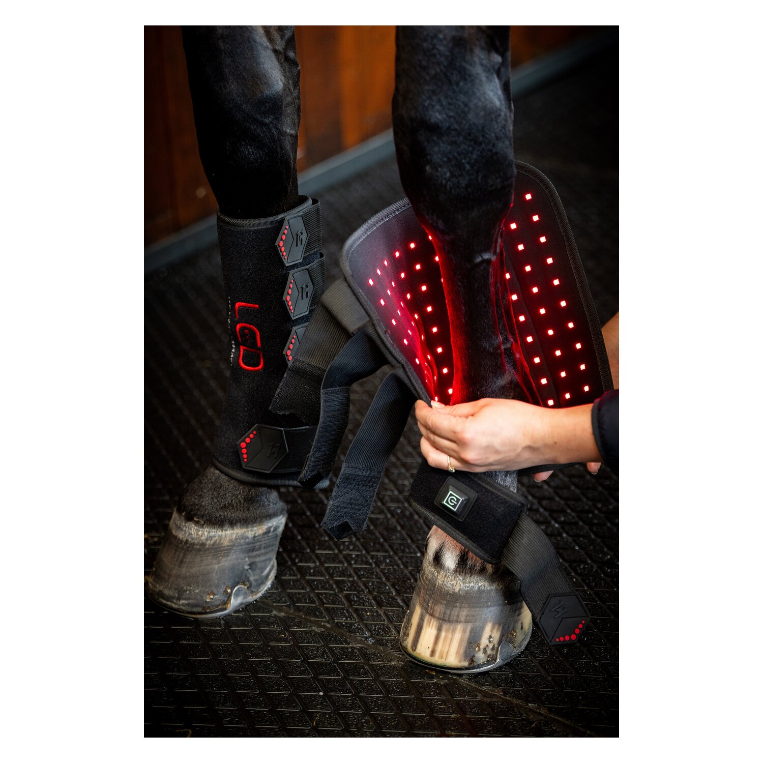 HORSEWARE Gamasche LED Red Light Therapy Leg Wraps, für die Vorderbeine – Ansicht 2