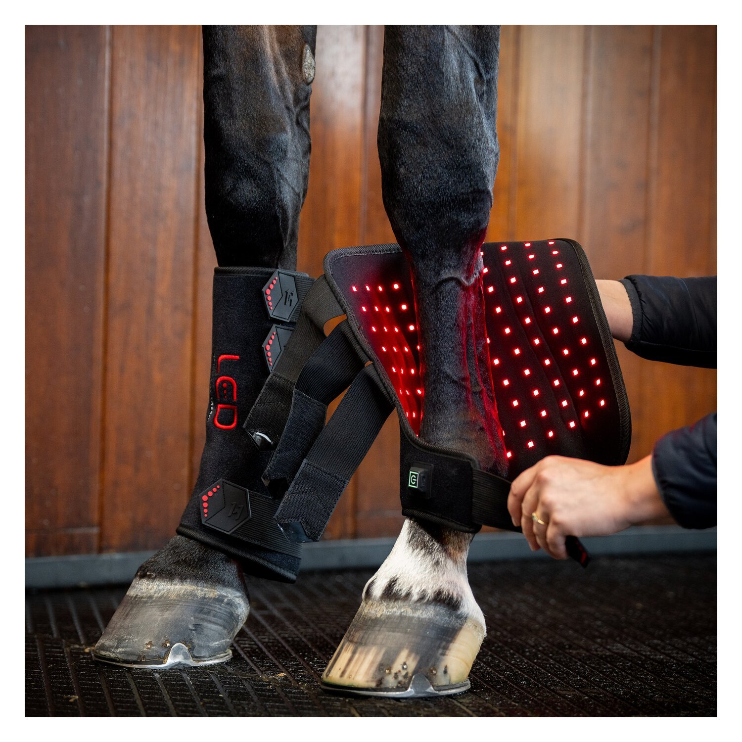 HORSEWARE Gamasche LED Red Light Therapy Leg Wraps, für die Vorderbeine – Ansicht 3