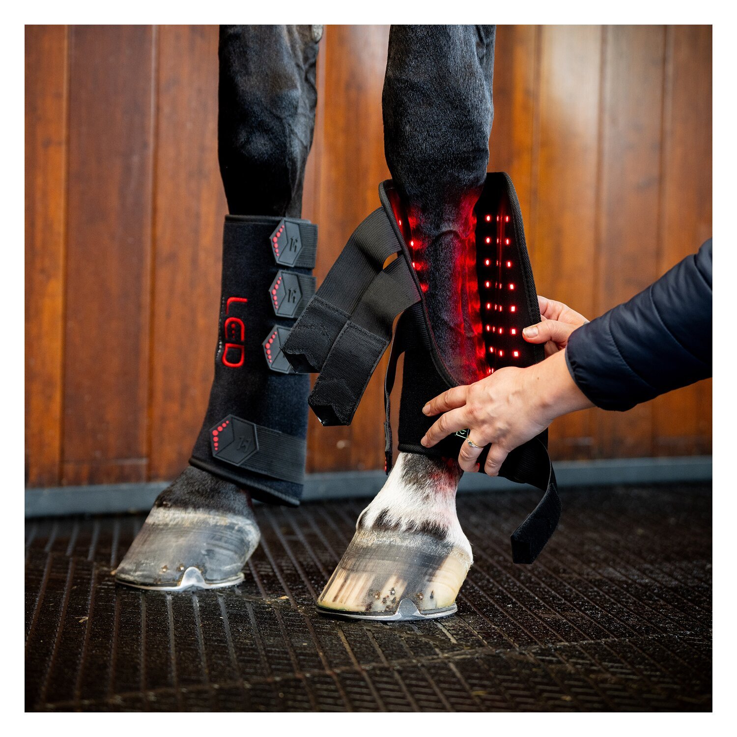 HORSEWARE Gamasche LED Red Light Therapy Leg Wraps, für die Vorderbeine – Ansicht 4