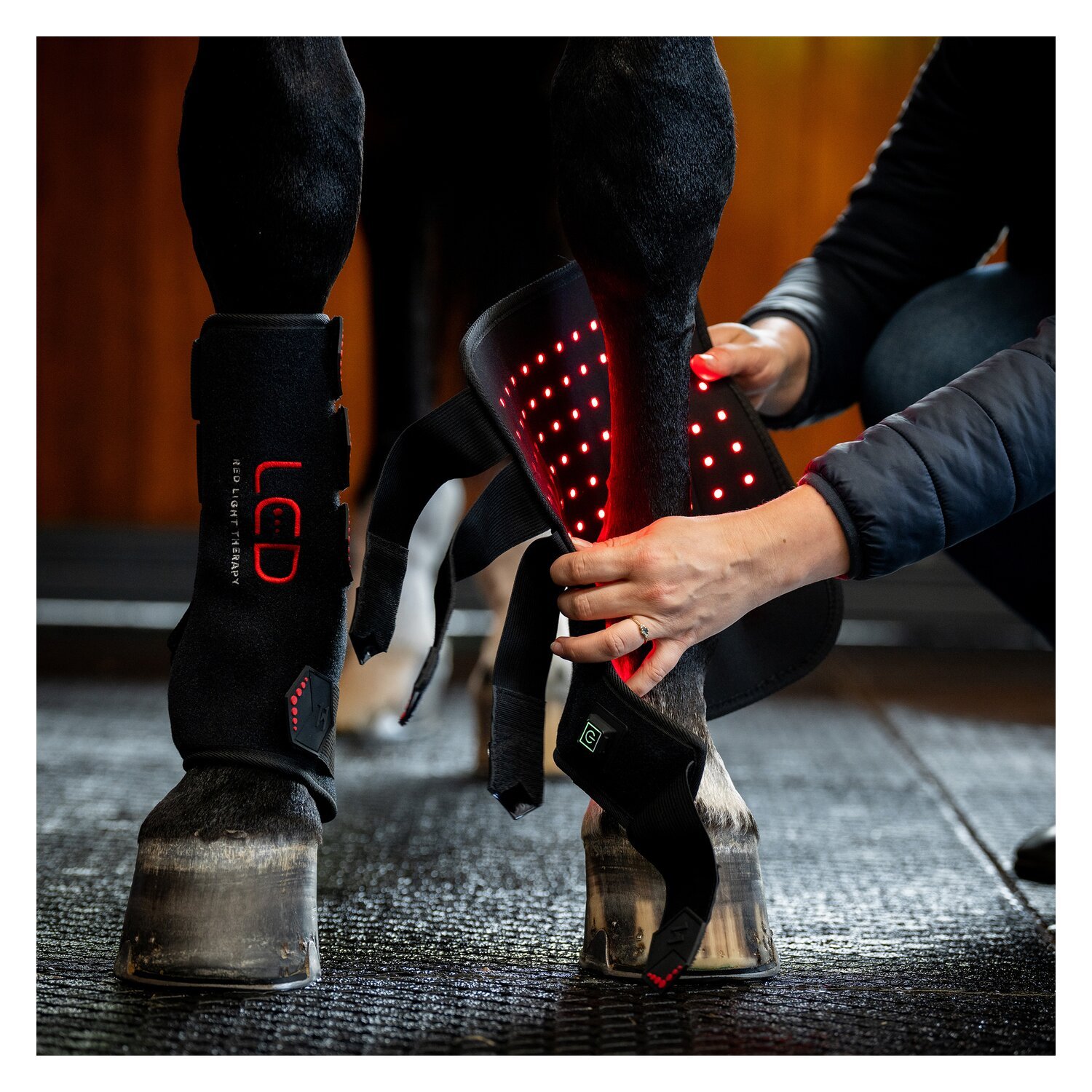 HORSEWARE Gamasche LED Red Light Therapy Leg Wraps, für die Vorderbeine – Ansicht 7