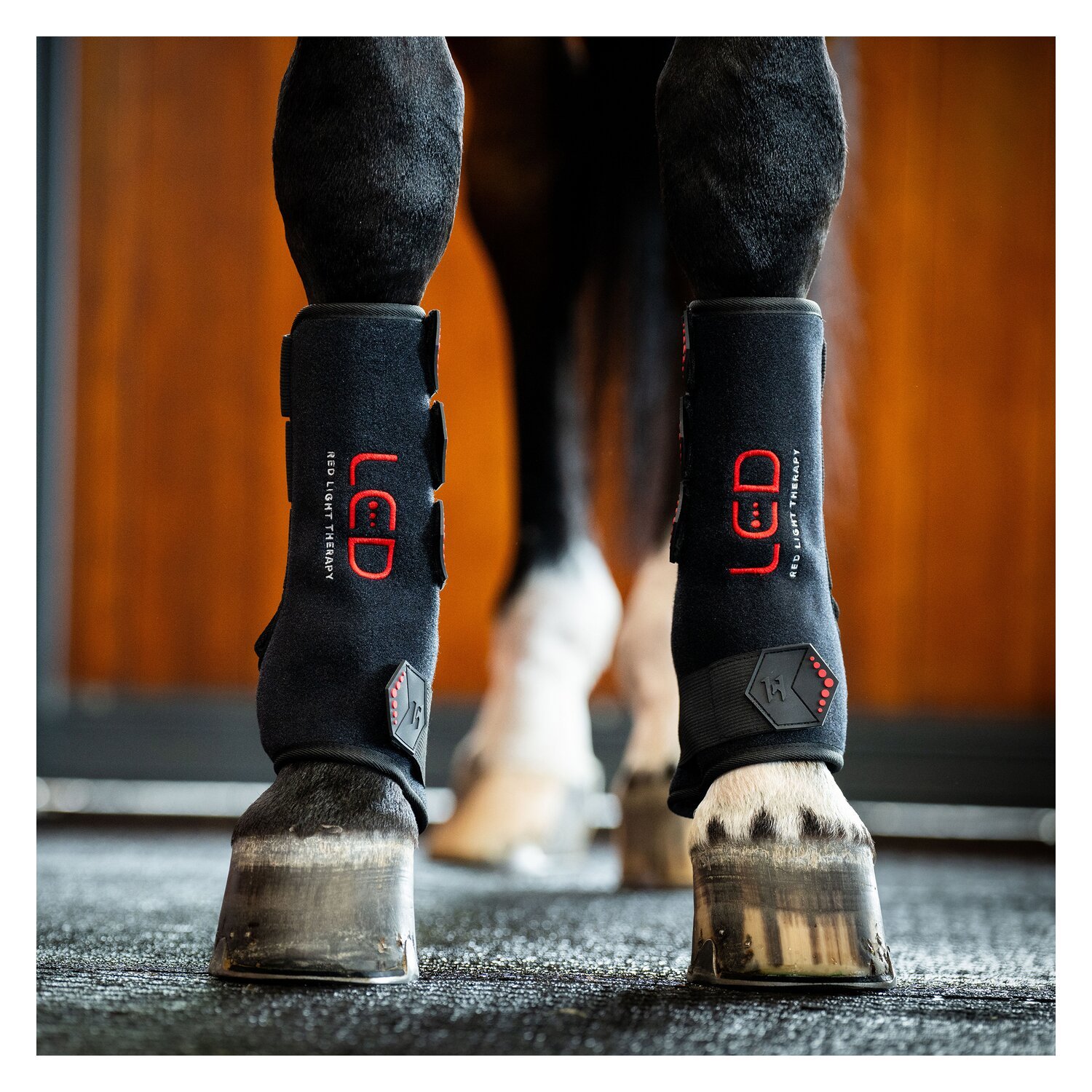 HORSEWARE Gamasche LED Red Light Therapy Leg Wraps, für die Vorderbeine – Ansicht 9