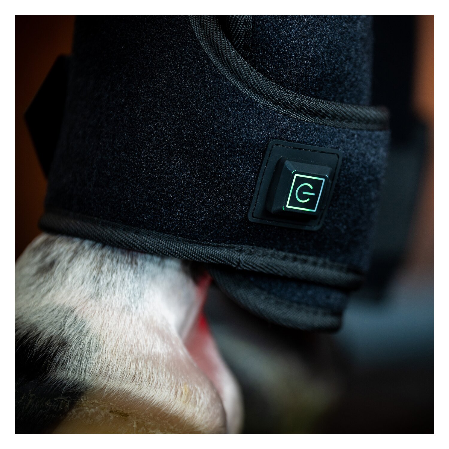 HORSEWARE Gamasche LED Red Light Therapy Leg Wraps, für die Vorderbeine – Ansicht 6