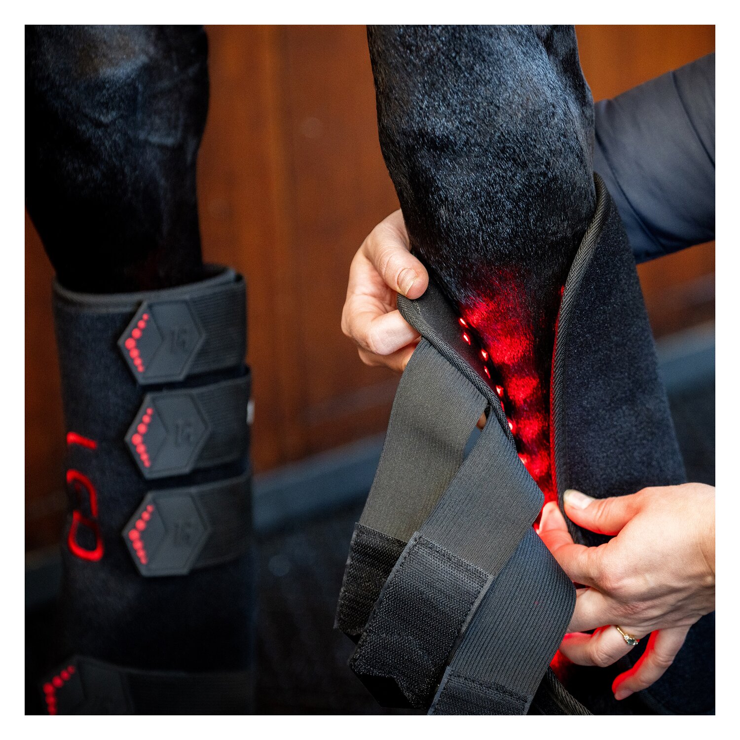 HORSEWARE Gamasche LED Red Light Therapy Leg Wraps, für die Vorderbeine – Ansicht 5