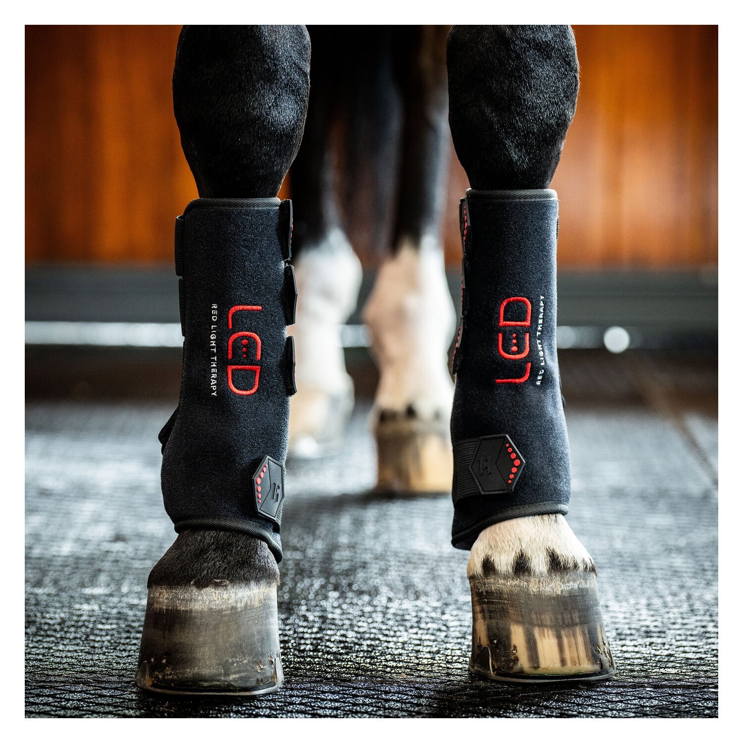 HORSEWARE Gamasche LED Red Light Therapy Leg Wraps, für die Vorderbeine – Ansicht 1