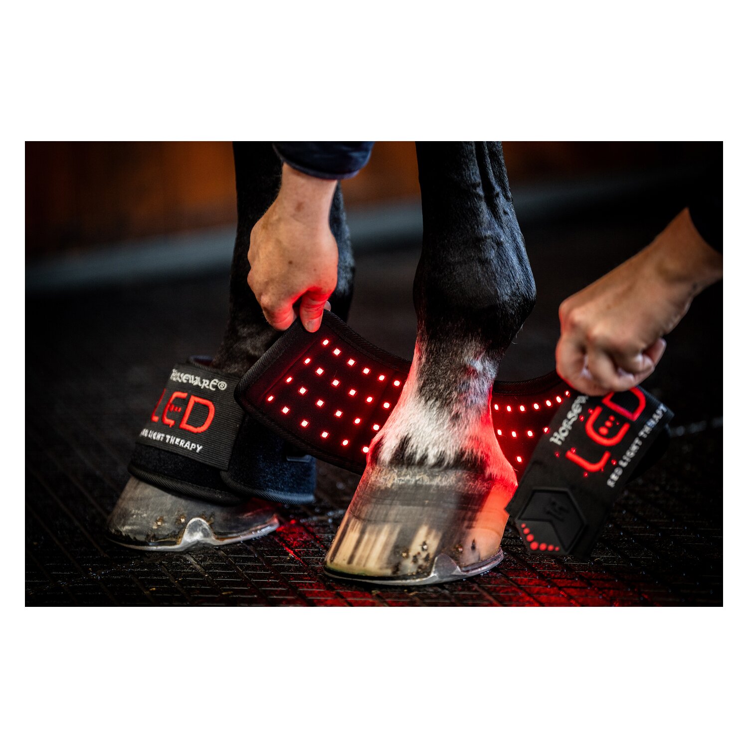 HORSEWARE Hufglocke LED Red Light Therapy – Ansicht 2
