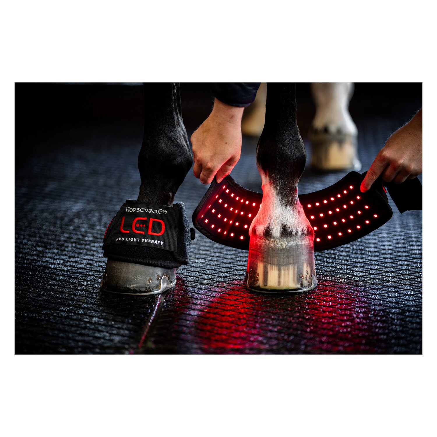 HORSEWARE Hufglocke LED Red Light Therapy – Ansicht 3