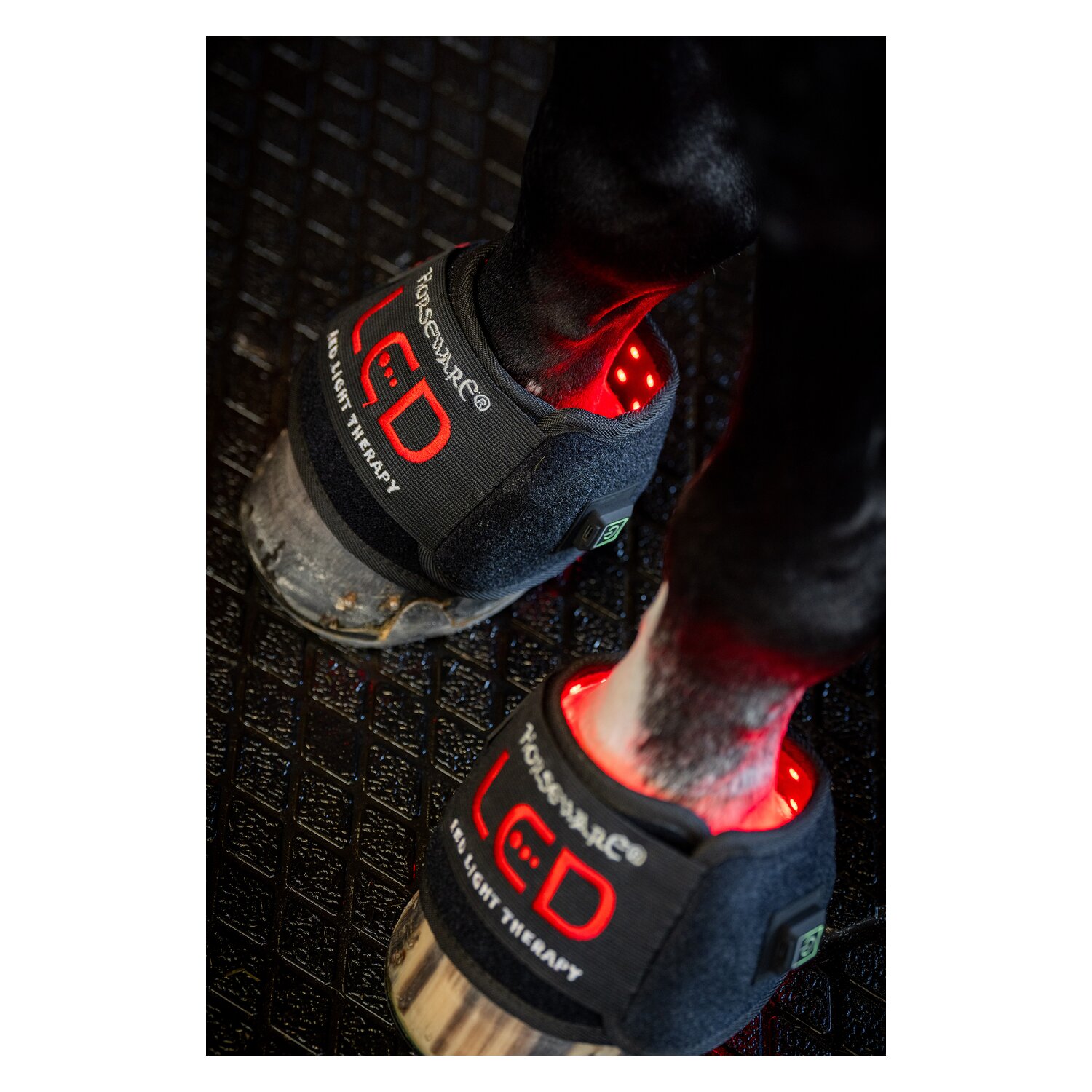 HORSEWARE Hufglocke LED Red Light Therapy – Ansicht 5