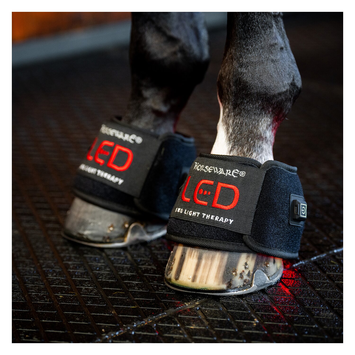 HORSEWARE Hufglocke LED Red Light Therapy – Ansicht 1