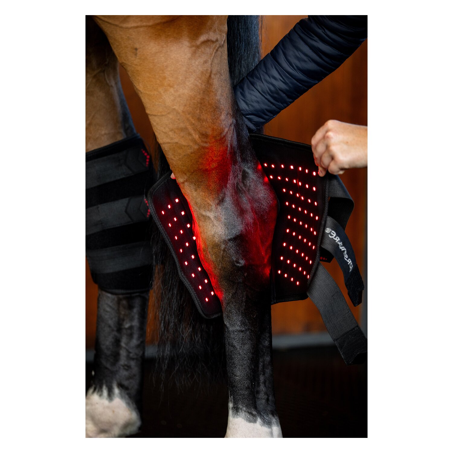 HORSEWARE Sprunggelenkgamasche LED Red Light Therapy – Ansicht 3