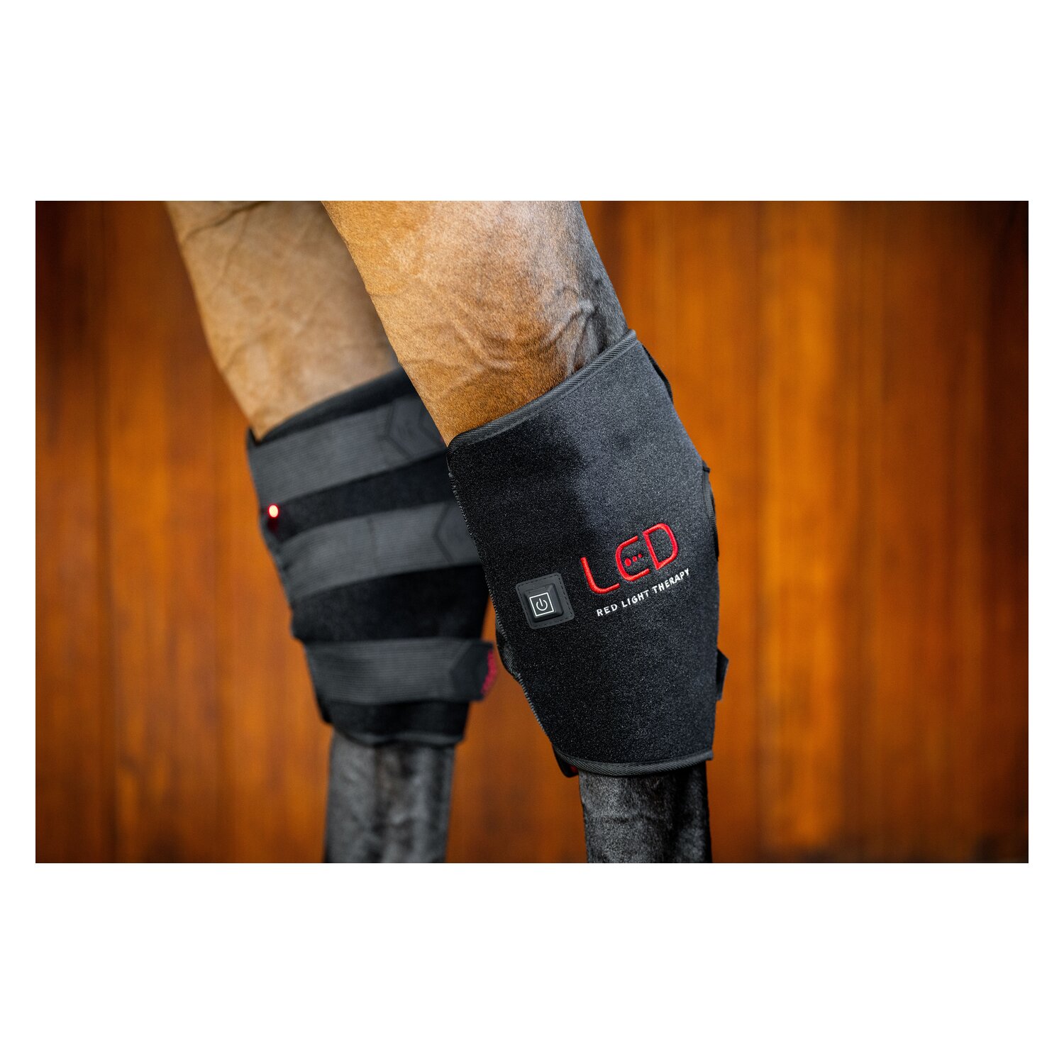 HORSEWARE Sprunggelenkgamasche LED Red Light Therapy – Ansicht 4