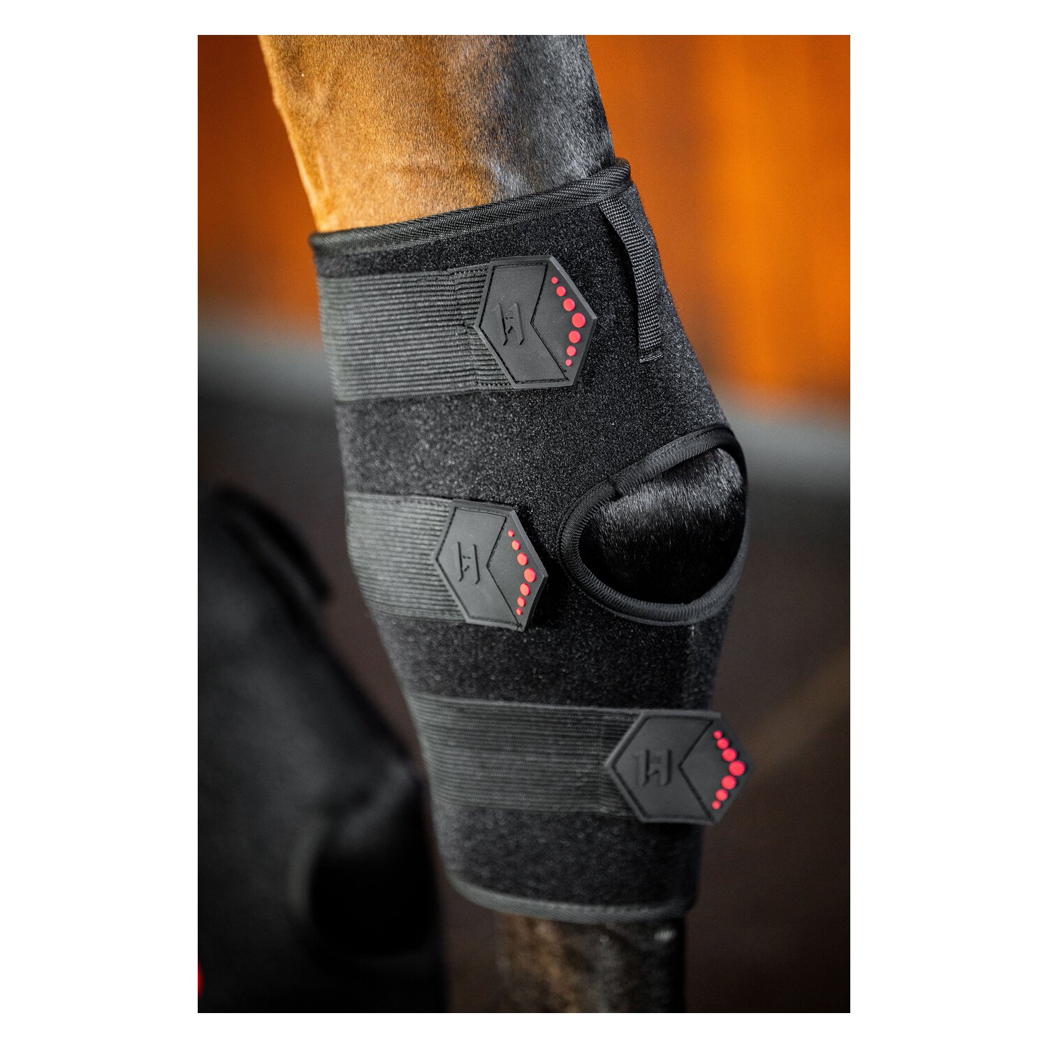 HORSEWARE Sprunggelenkgamasche LED Red Light Therapy – Ansicht 6