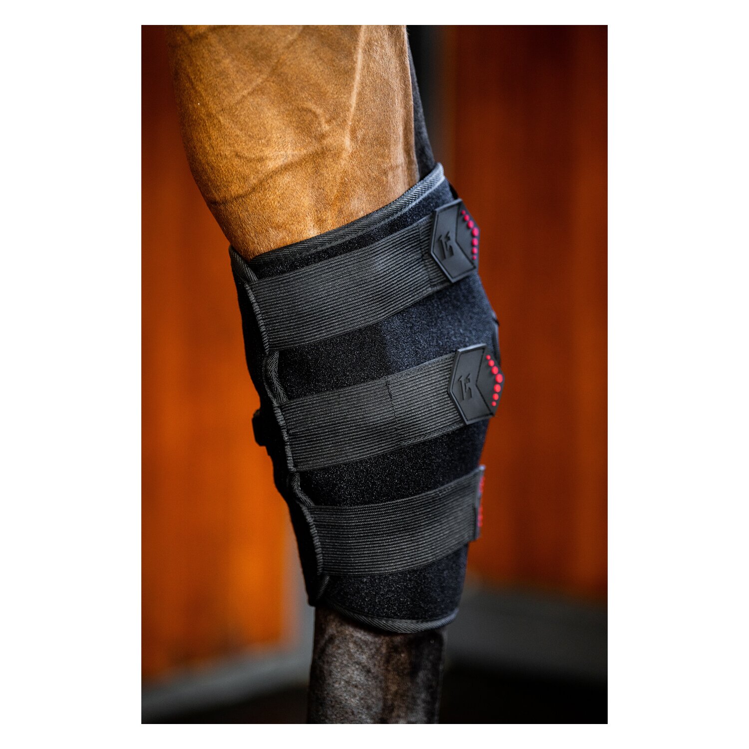 HORSEWARE Sprunggelenkgamasche LED Red Light Therapy – Ansicht 1