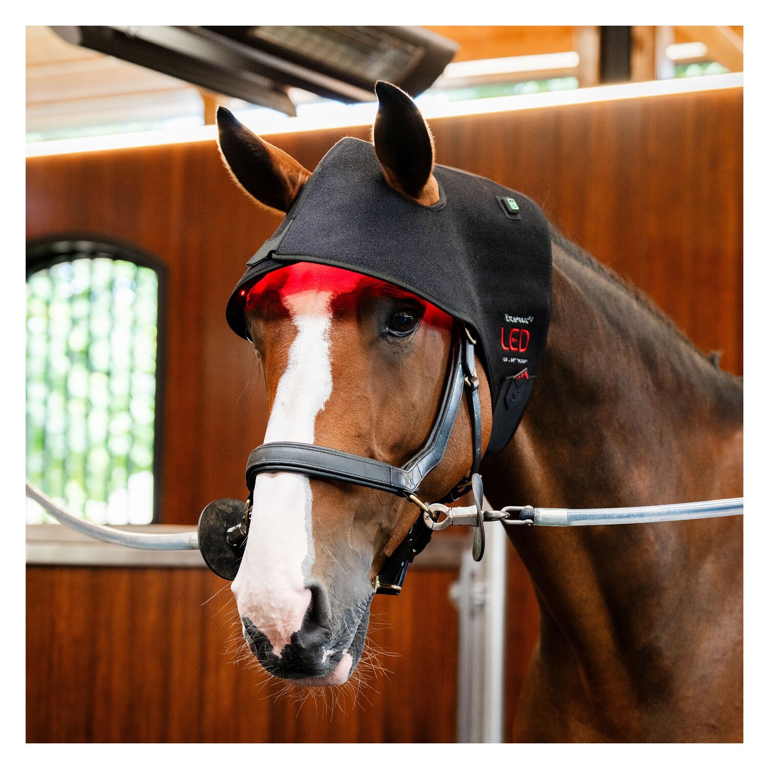 HORSEWARE Genickhaube LED Red Light Therapy – Ansicht 2