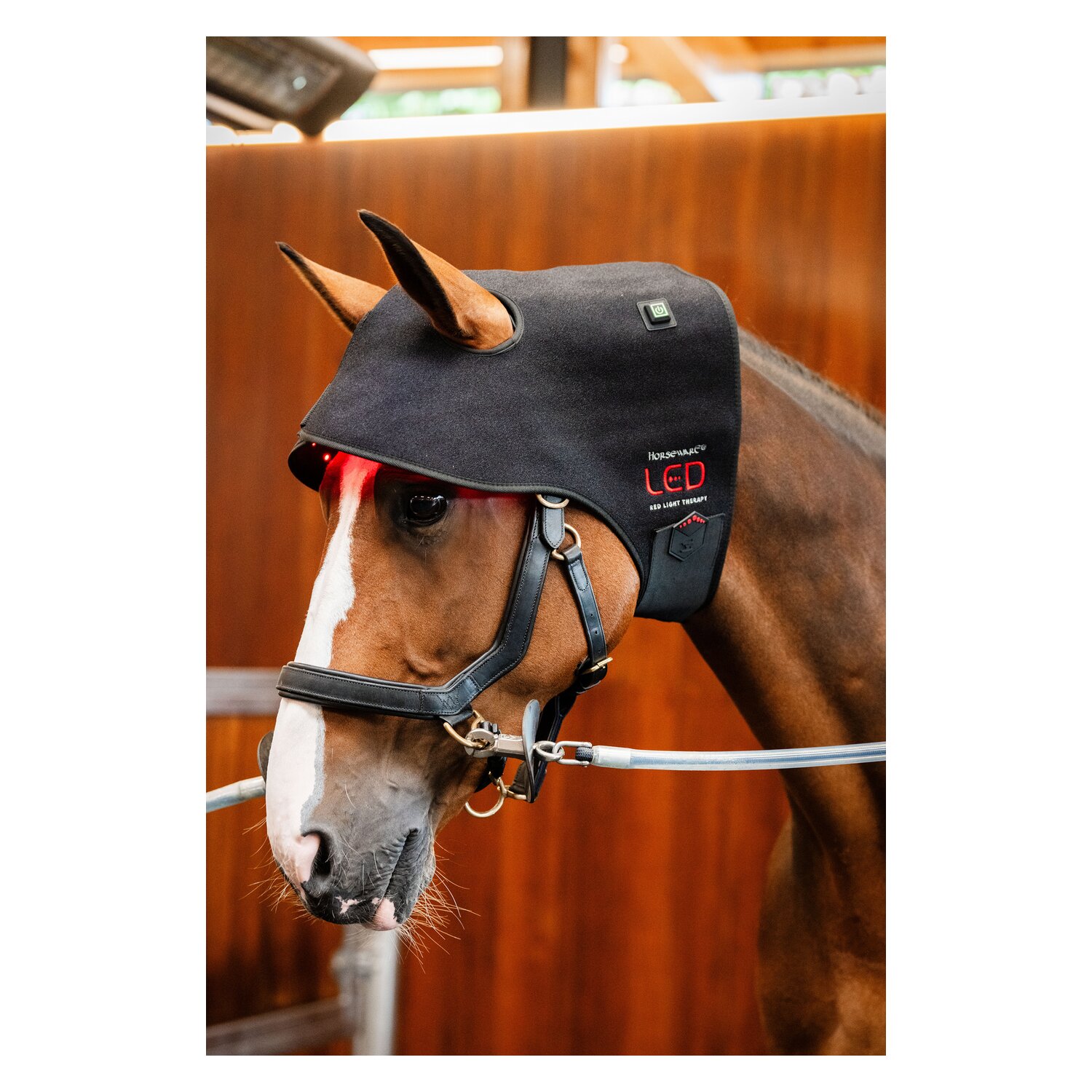 HORSEWARE Genickhaube LED Red Light Therapy – Ansicht 3
