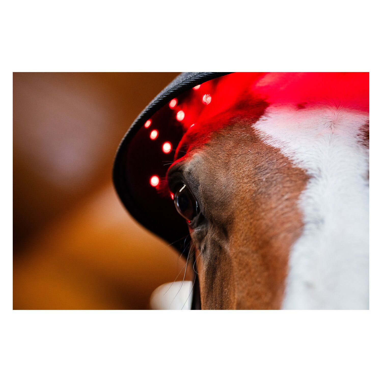 HORSEWARE Genickhaube LED Red Light Therapy – Ansicht 5