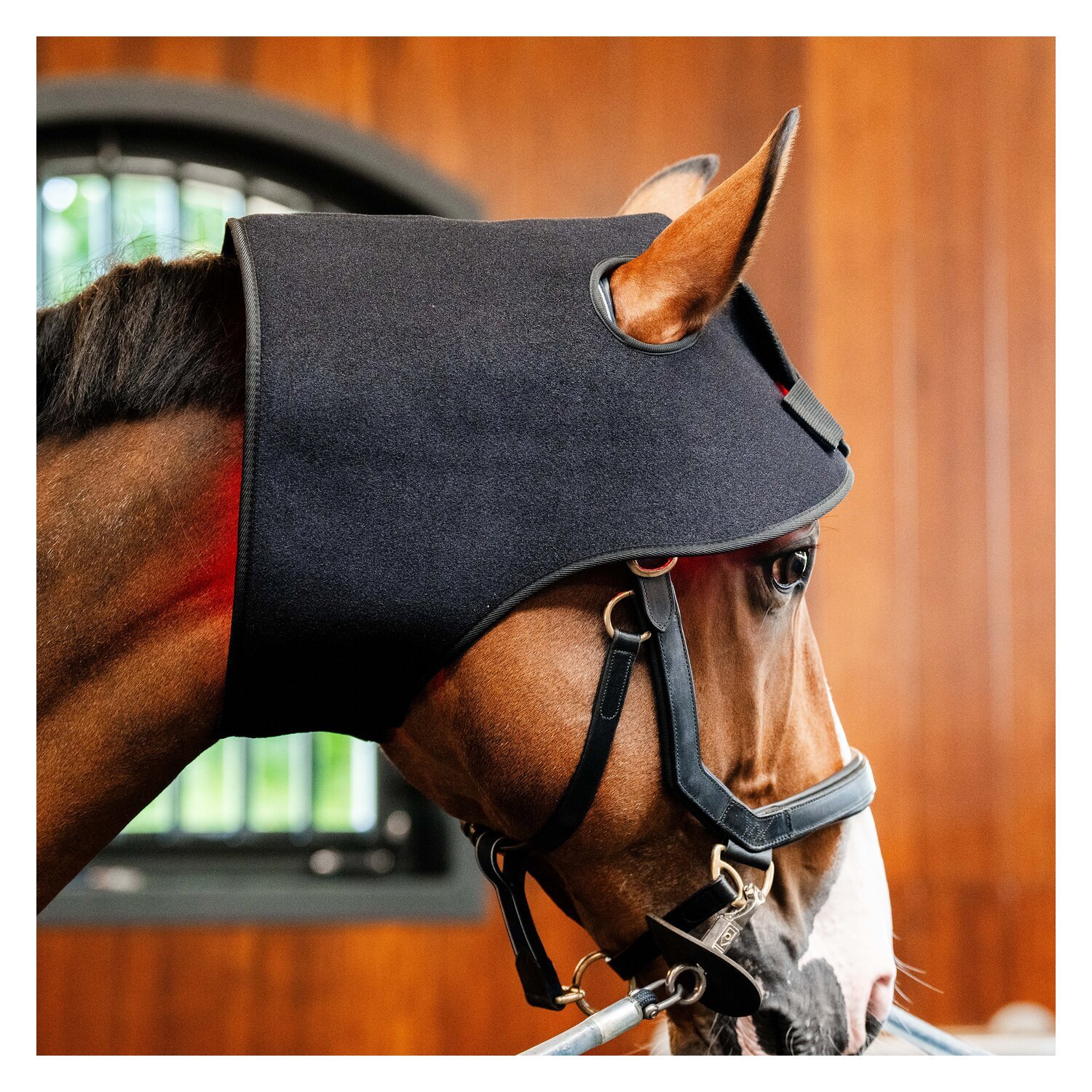 HORSEWARE Genickhaube LED Red Light Therapy – Ansicht 7