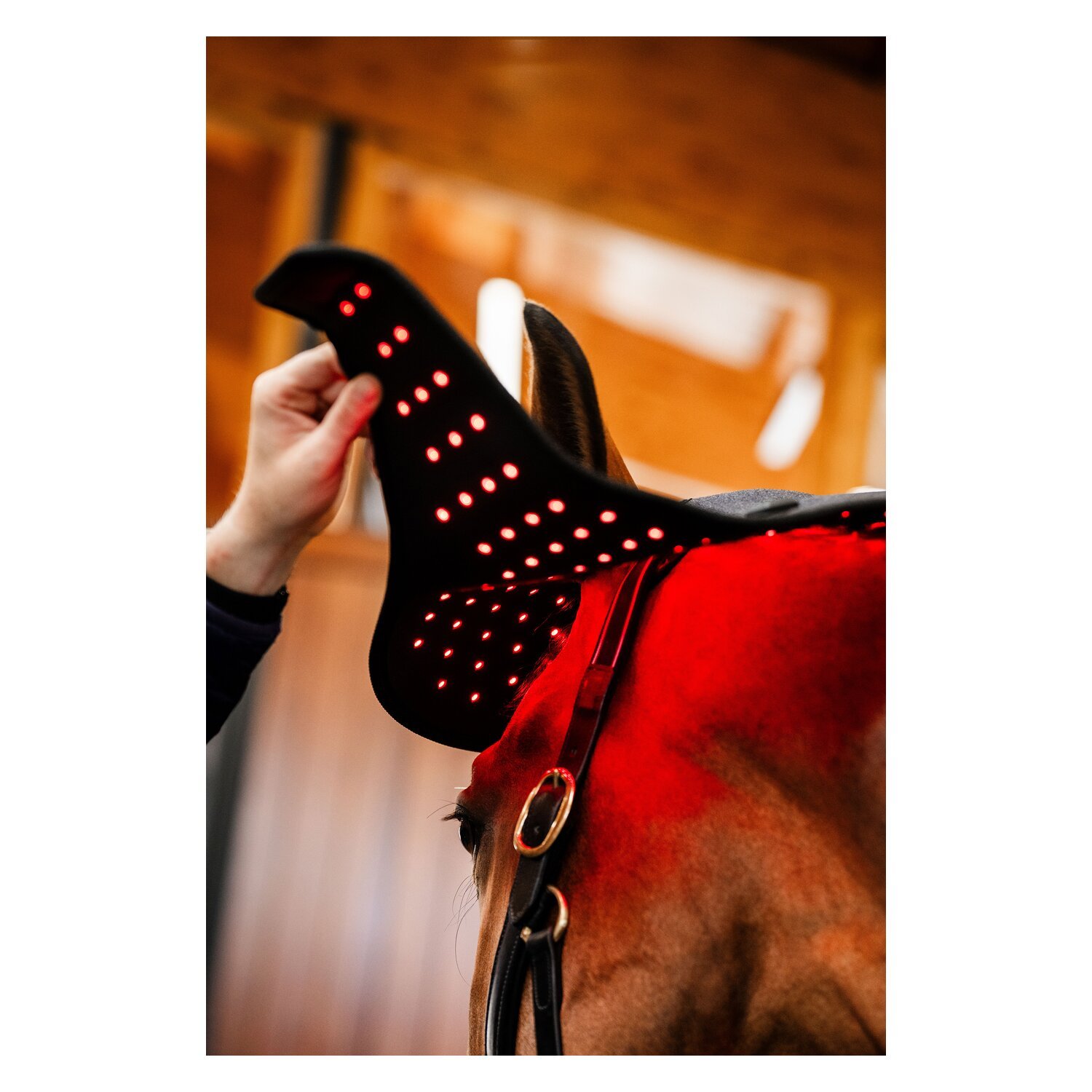 HORSEWARE Genickhaube LED Red Light Therapy – Ansicht 8