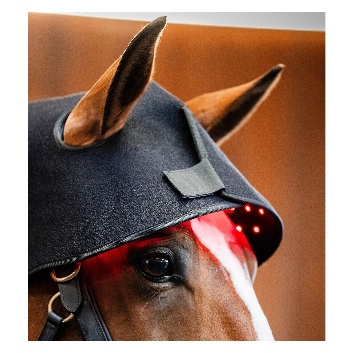 HORSEWARE Genickhaube LED Red Light Therapy – Ansicht 1