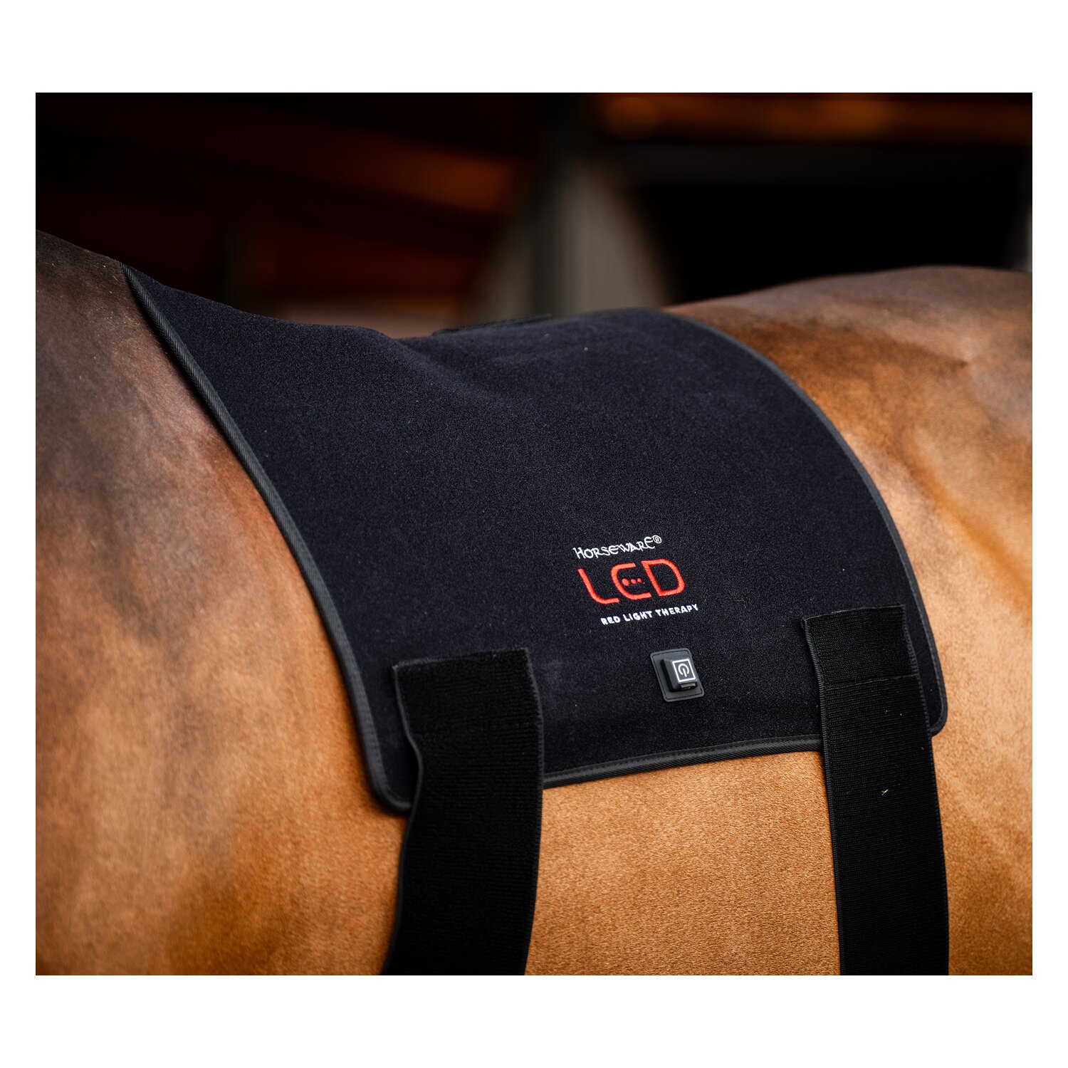 HORSEWARE Pad LED Red Light Therapy – Ansicht 1