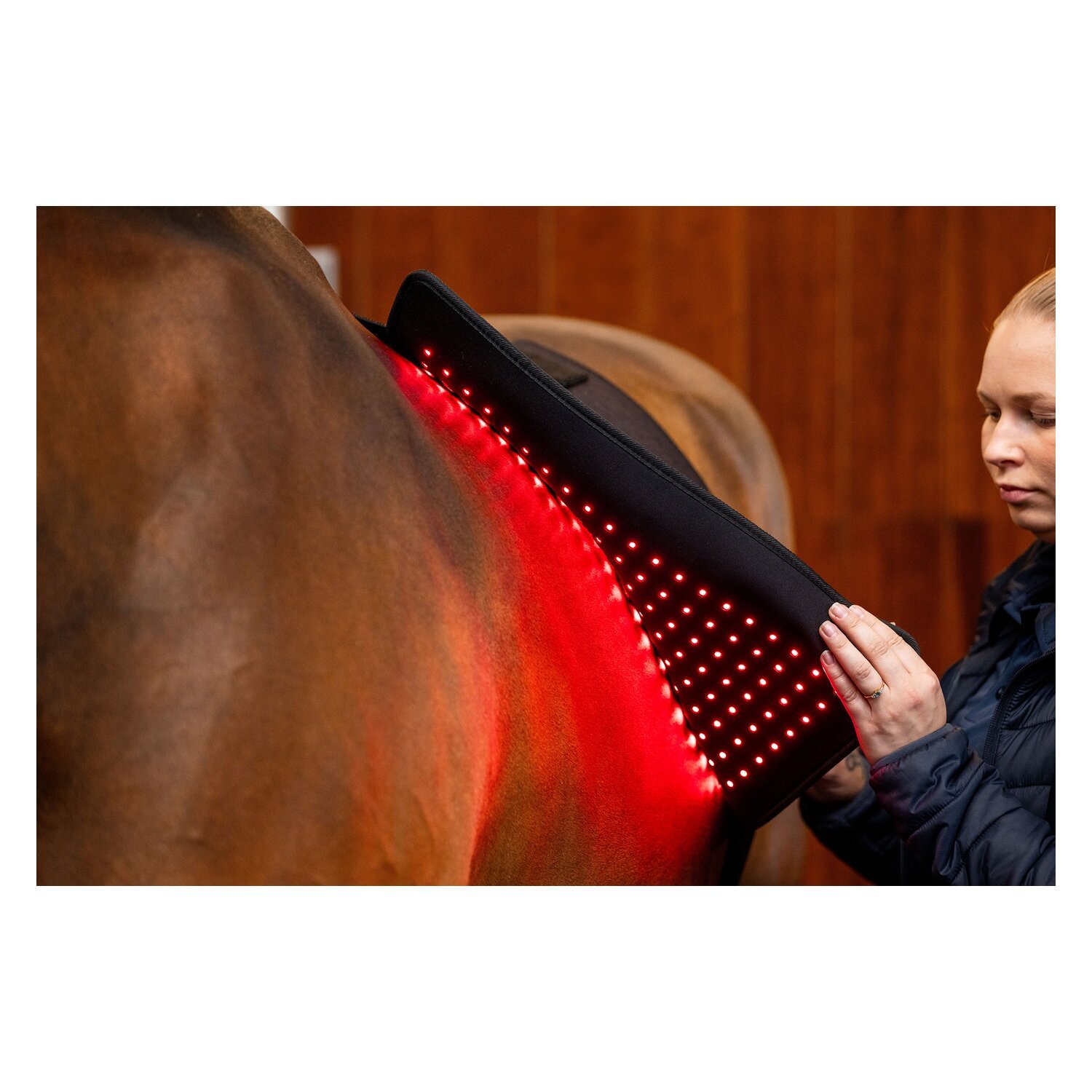 HORSEWARE Pad LED Red Light Therapy – Ansicht 3