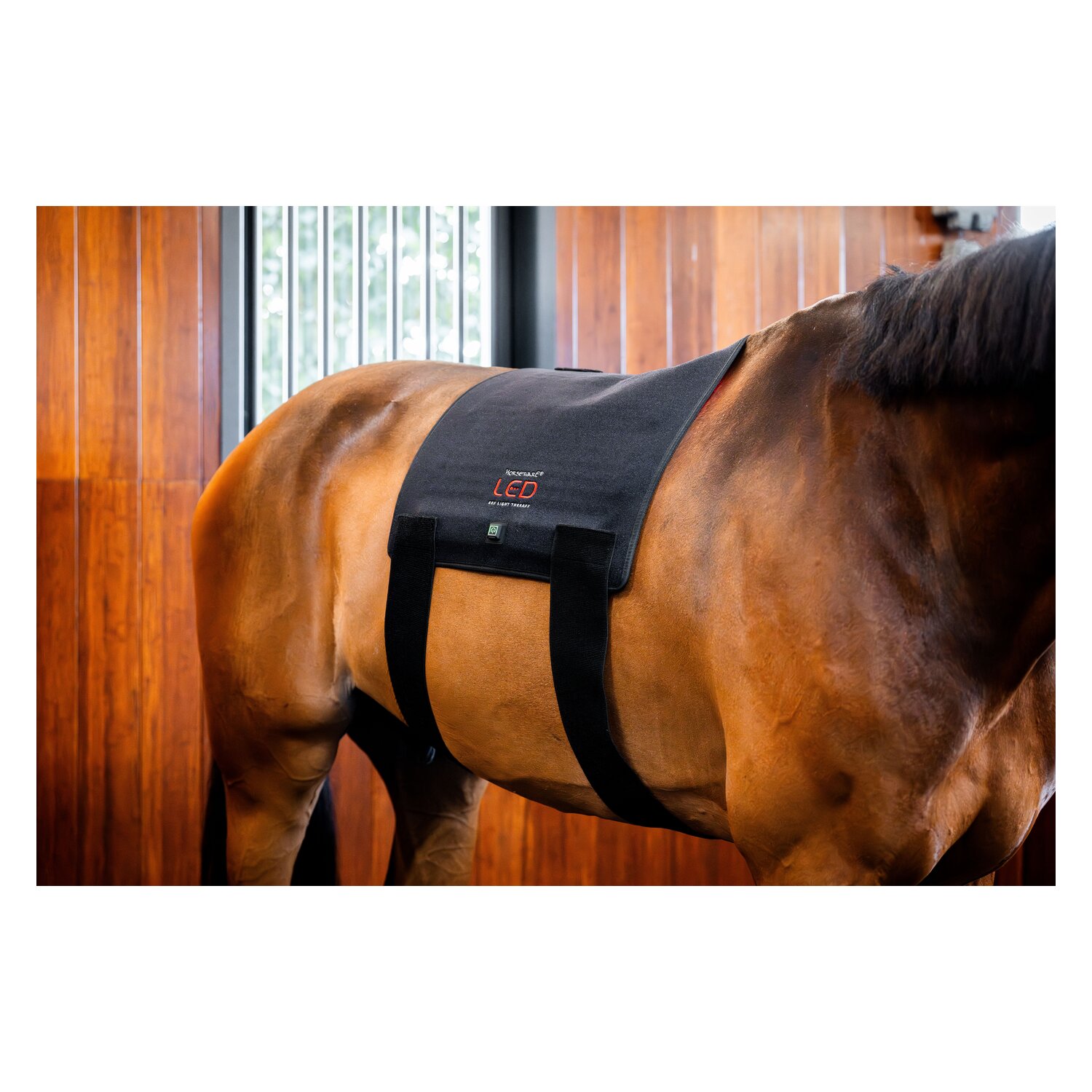 HORSEWARE Pad LED Red Light Therapy – Ansicht 7