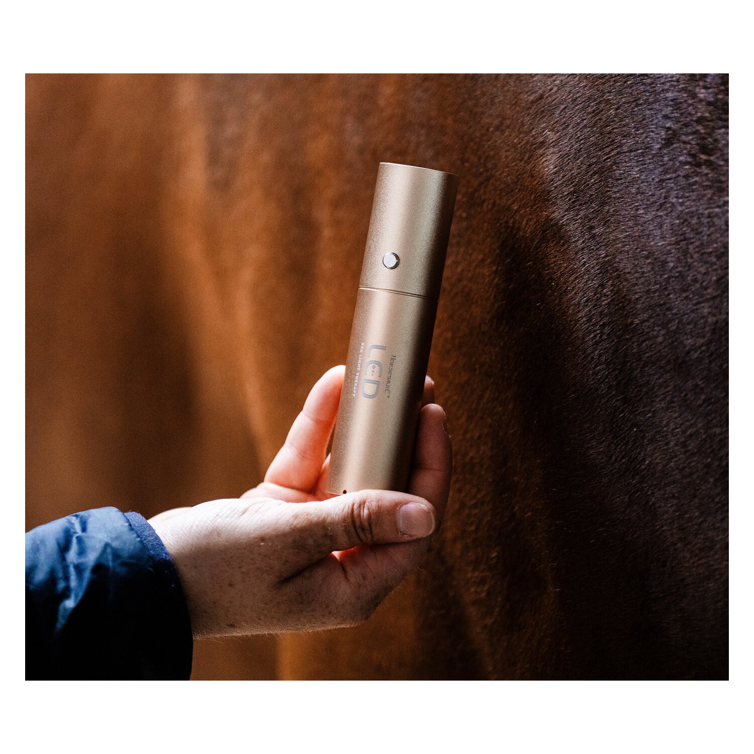 HORSEWARE Therapiestab LED Red Light Therapy – Ansicht 2