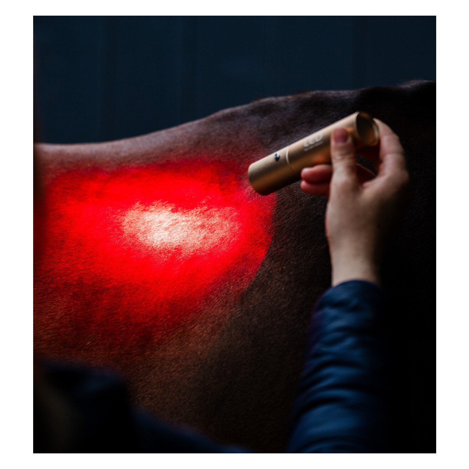 HORSEWARE Therapiestab LED Red Light Therapy – Ansicht 5