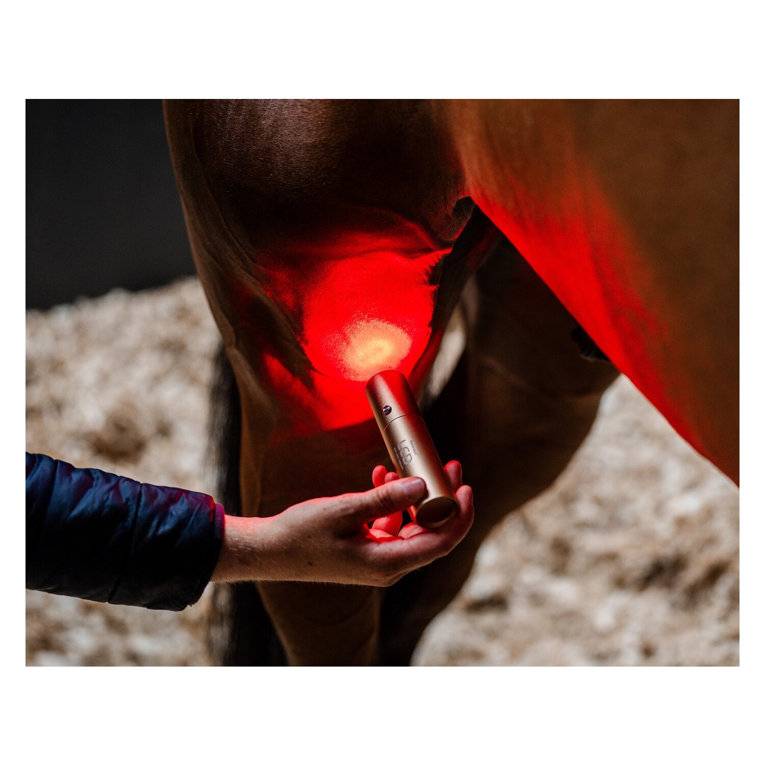 HORSEWARE Therapiestab LED Red Light Therapy – Ansicht 6