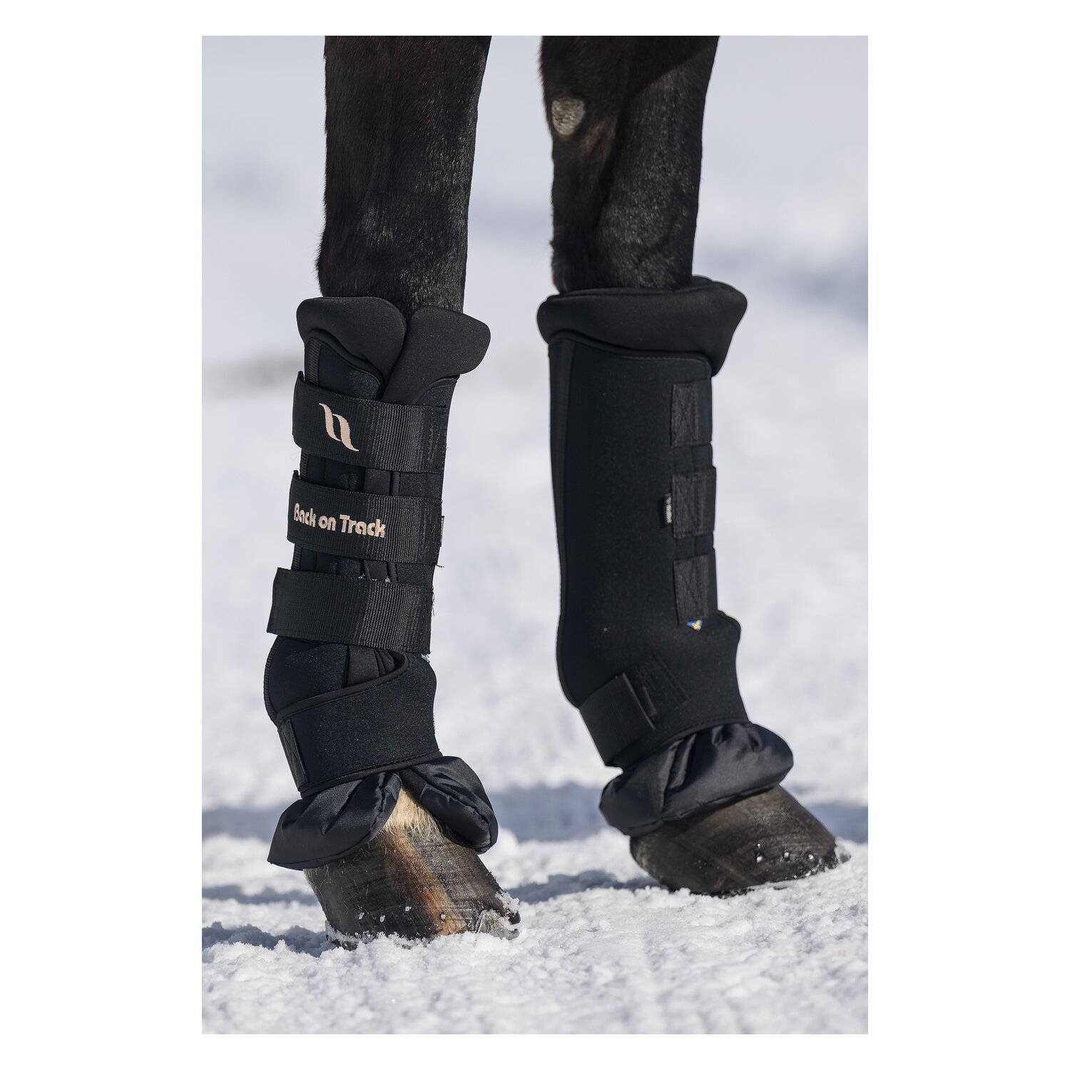 Back on Track Royal Stallgamaschen Deluxe – Ansicht 6