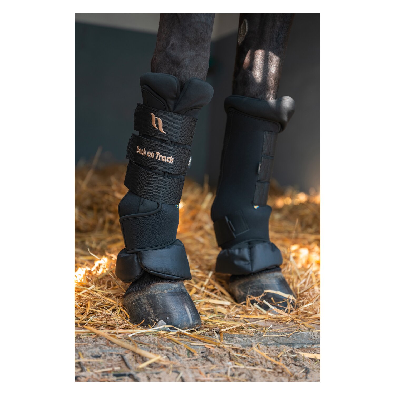 Back on Track Royal Stallgamaschen Deluxe – Ansicht 7