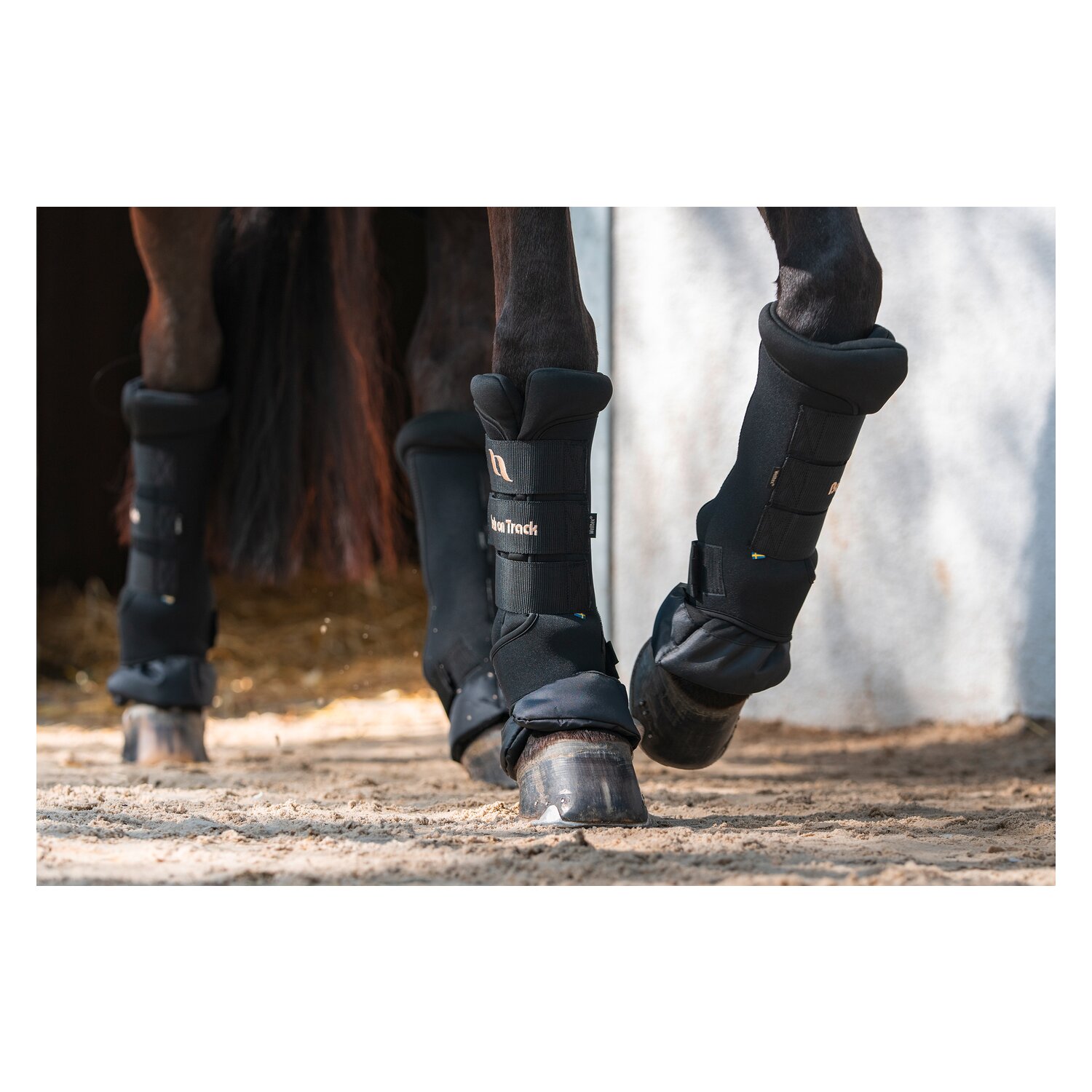 Back on Track Royal Stallgamaschen Deluxe – Ansicht 8