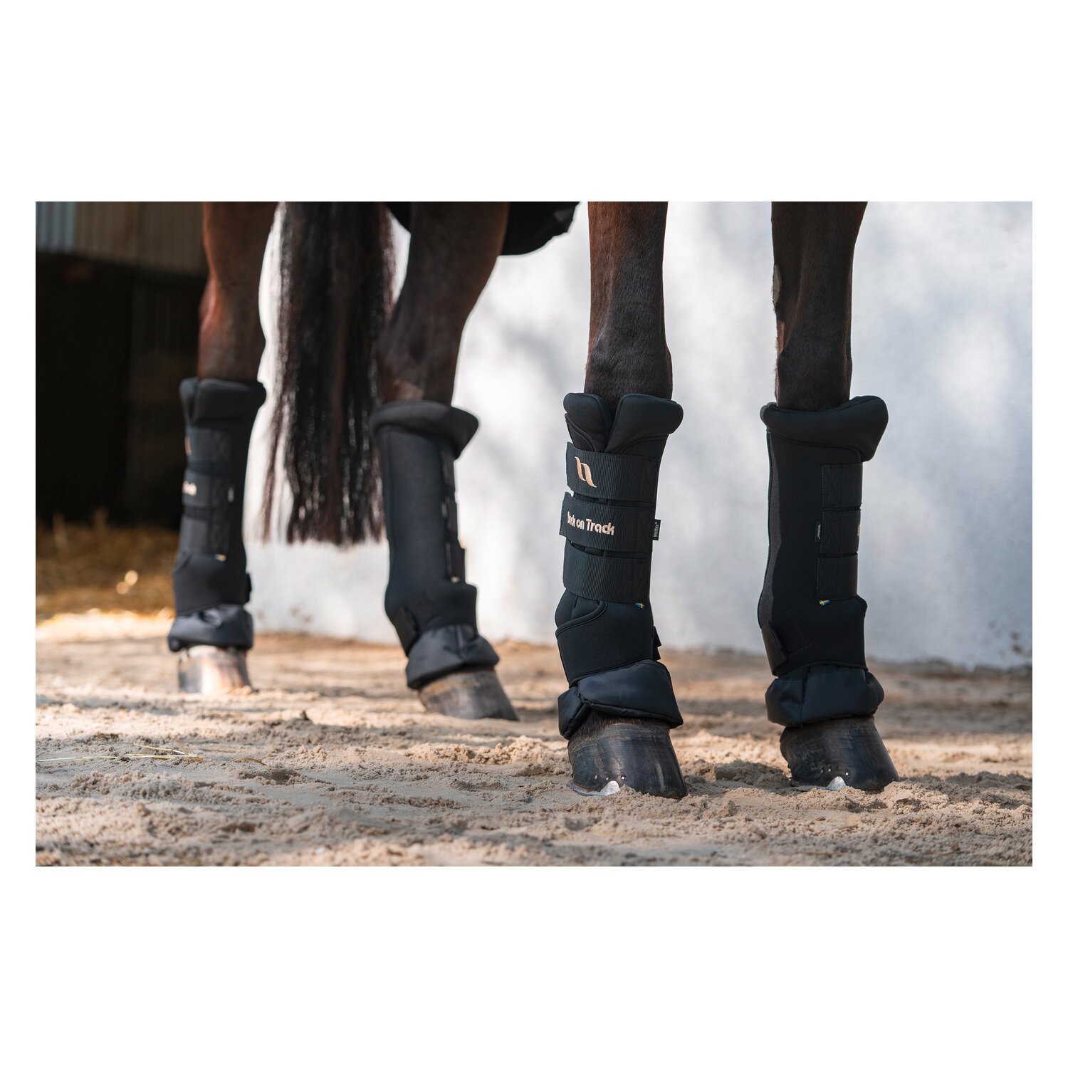 Back on Track Royal Stallgamaschen Deluxe – Ansicht 9