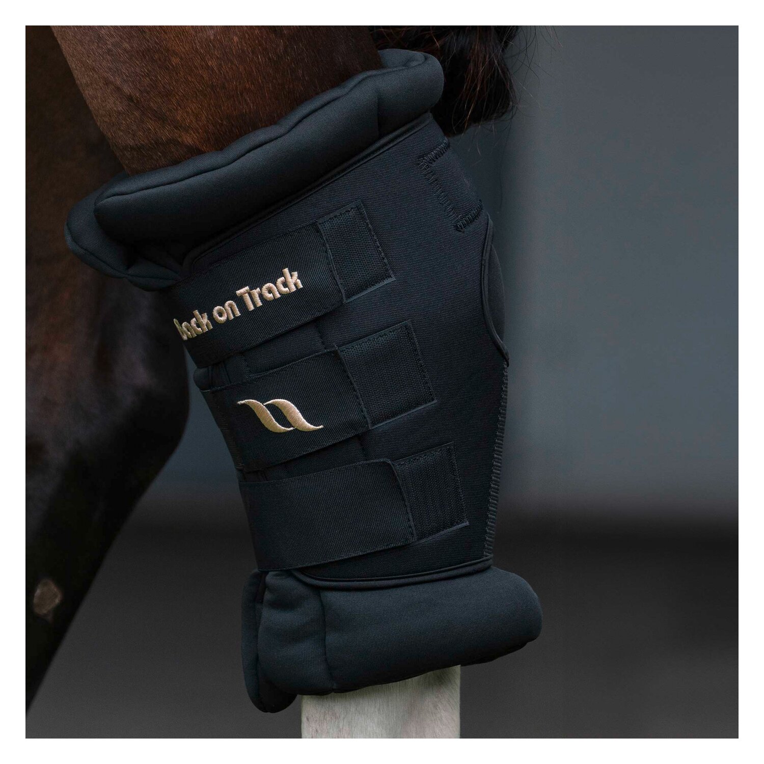 Back on Track Sprunggelenkschoner Royal Deluxe – Ansicht 5