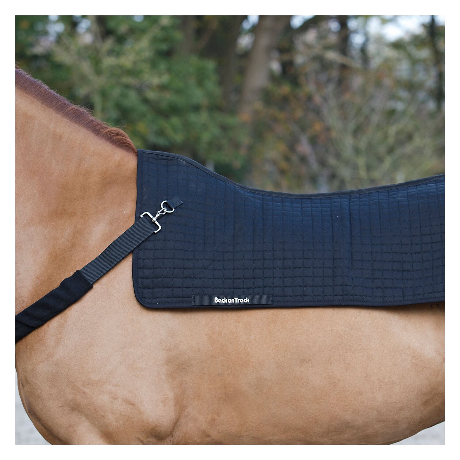 Back on Track Rückenwärmer Royal – Ansicht 2