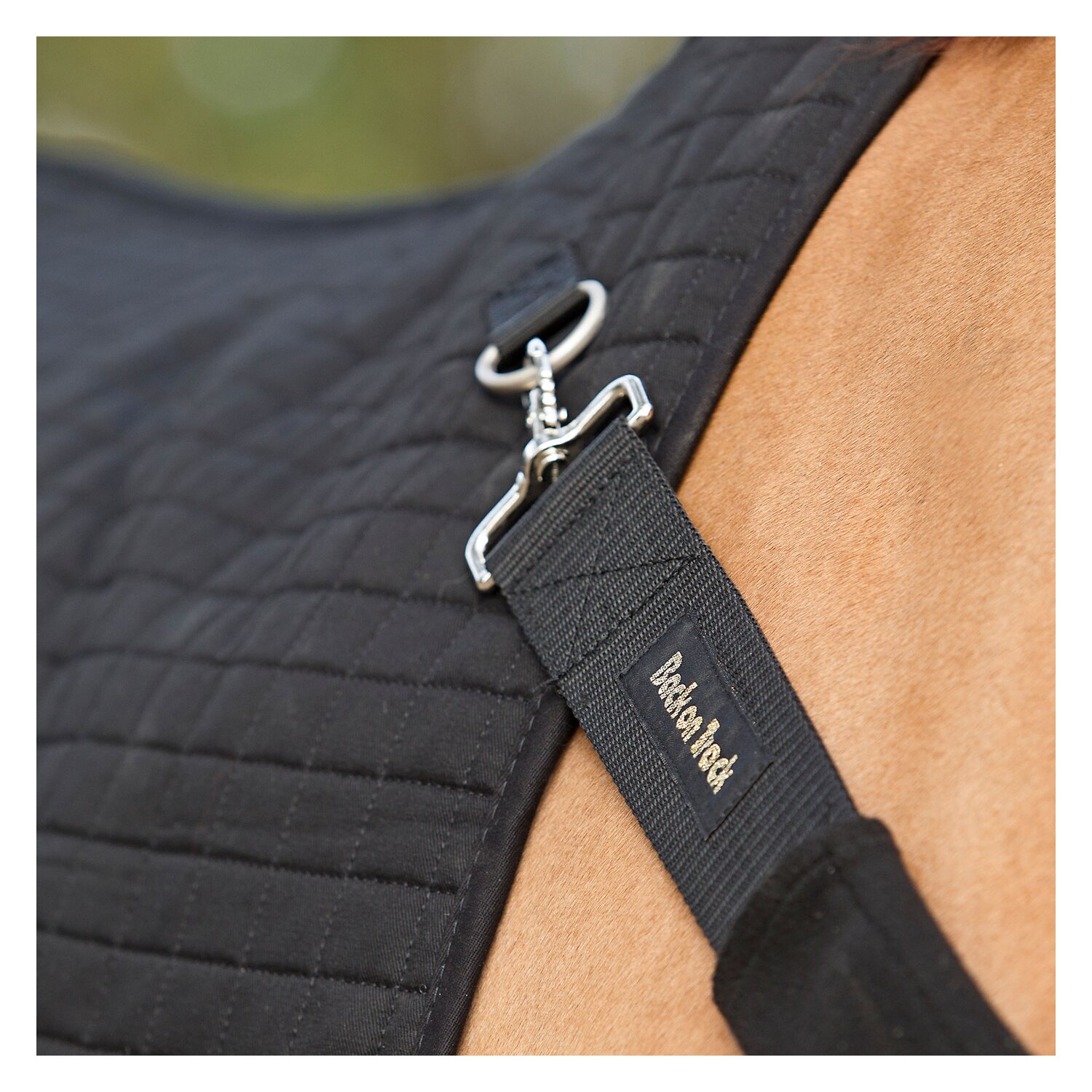 Back on Track Rückenwärmer Royal – Ansicht 3