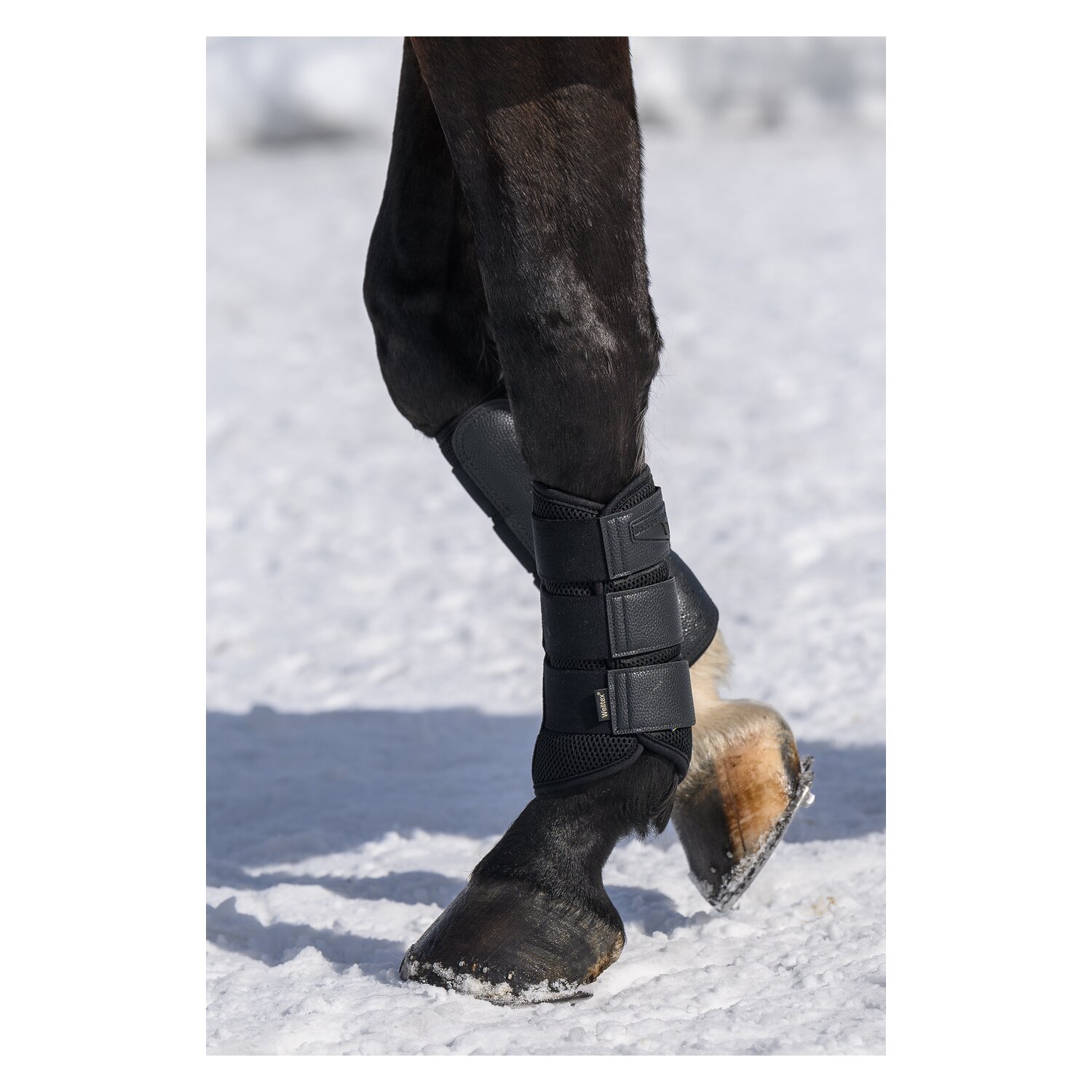 Back on Track Brush Gamaschen Airflow. Für Vorder- und Hinterbeine. – Ansicht 5