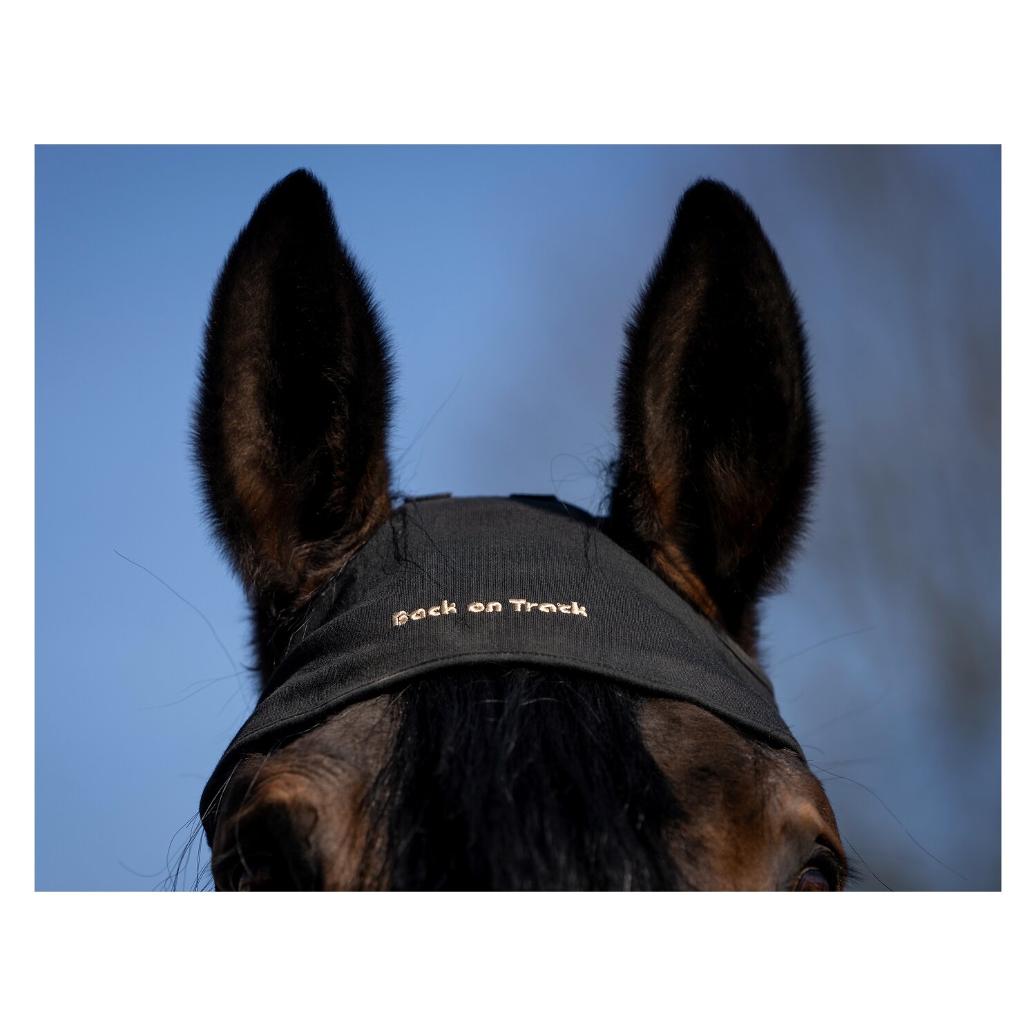 Back on Track Genickschoner – Ansicht 4