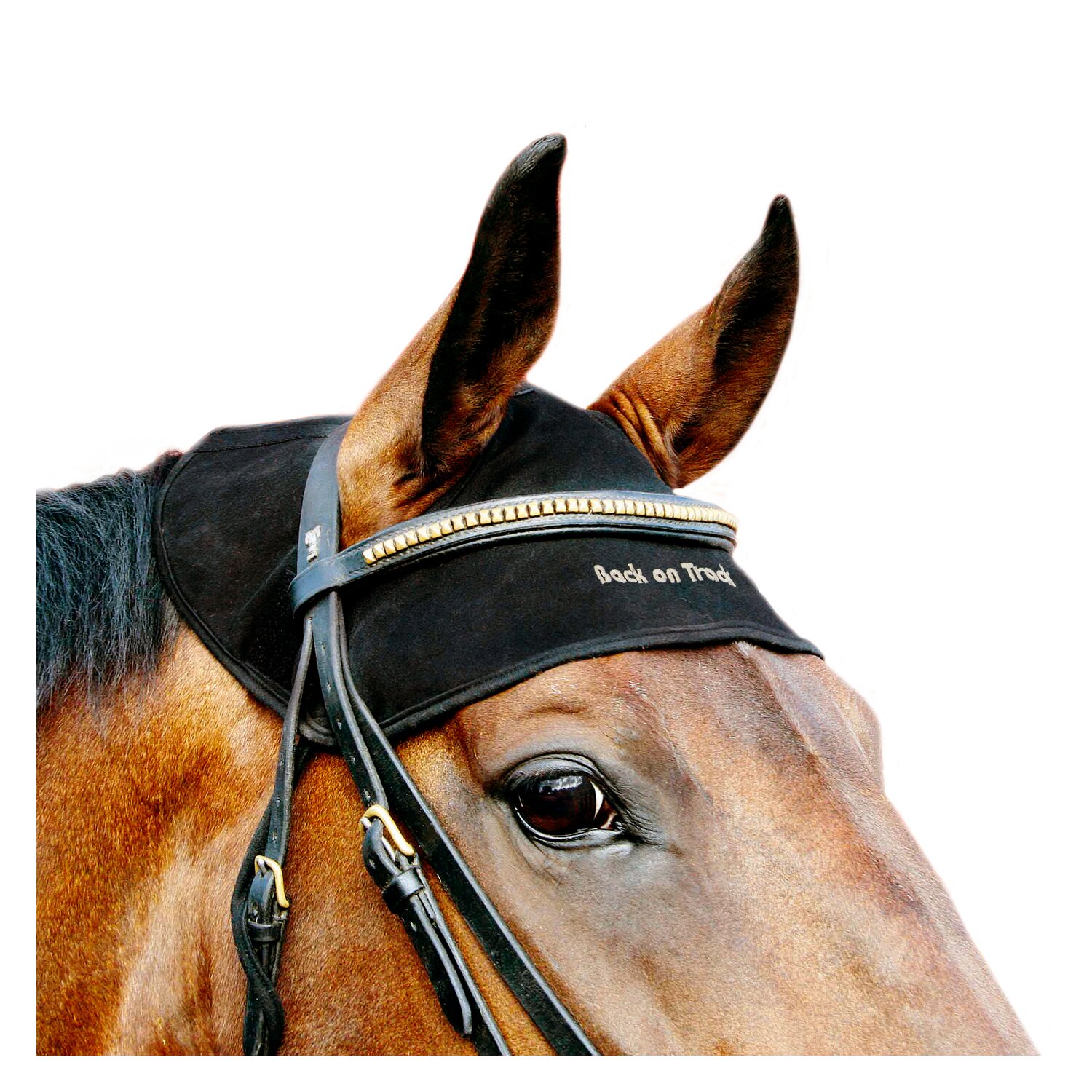 Back on Track Genickschoner – Ansicht 1