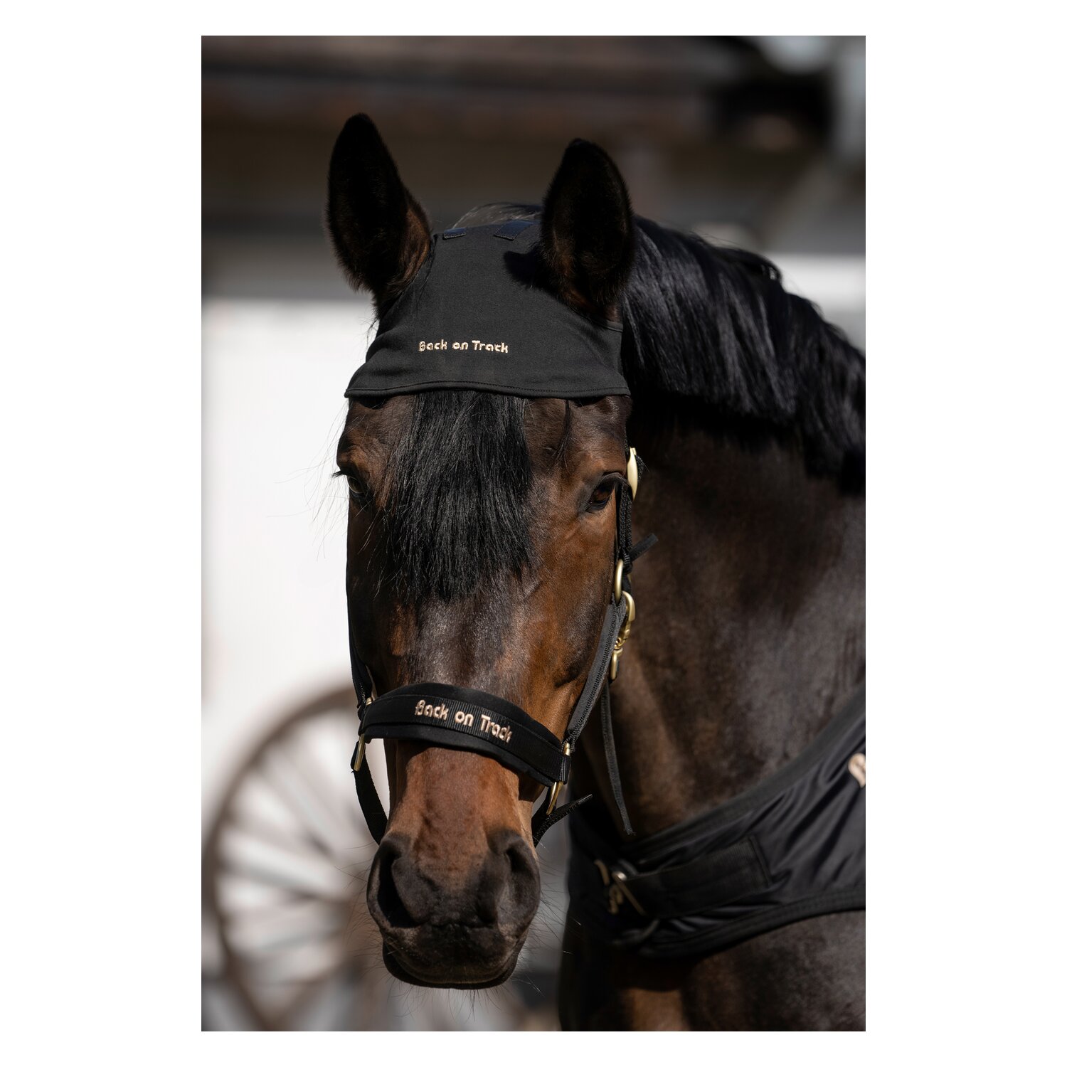 Back on Track Genickschoner – Ansicht 2