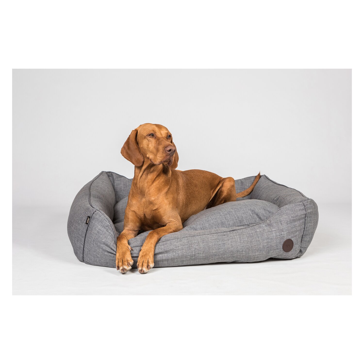 Back on Track Hundebett Rocky – Ansicht 3