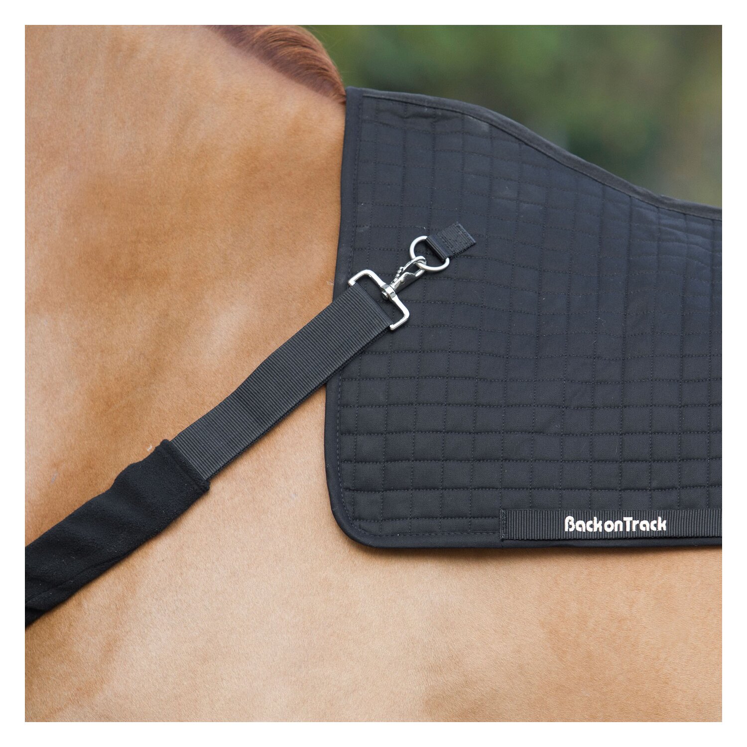 Back on Track Brustgurt für Rückenwärmer – Ansicht 2