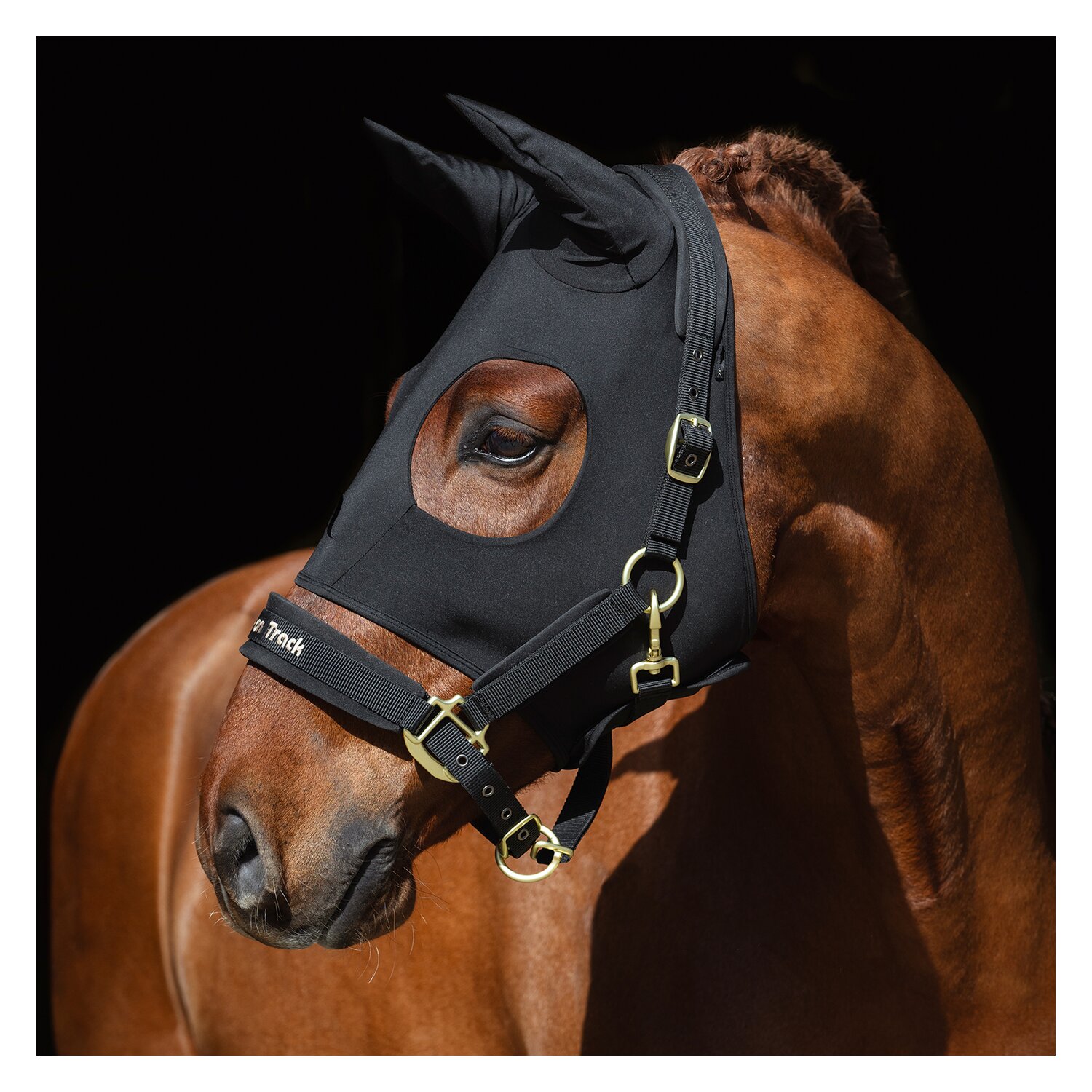 Back on Track Therapiemaske Spirit Calming Maske – Ansicht 4