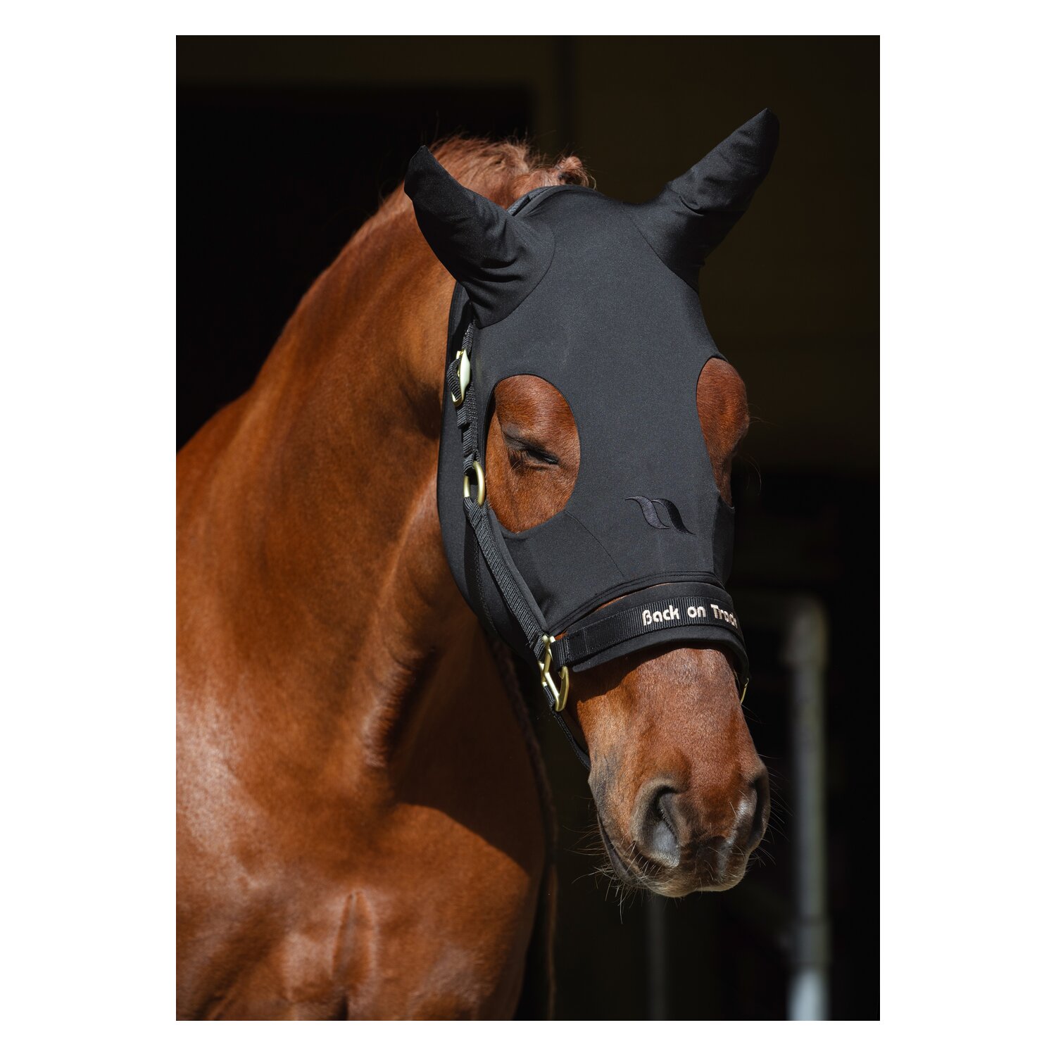 Back on Track Therapiemaske Spirit Calming Maske – Ansicht 8