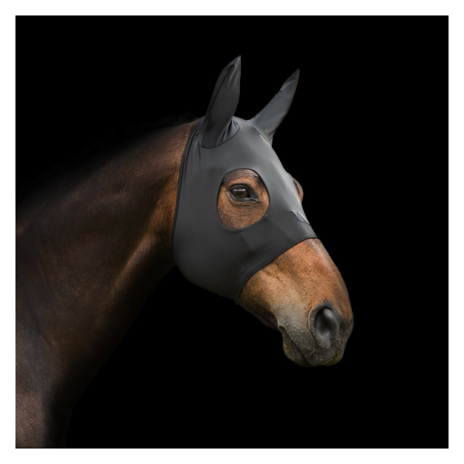 Back on Track Therapiemaske Spirit Calming Maske – Ansicht 3