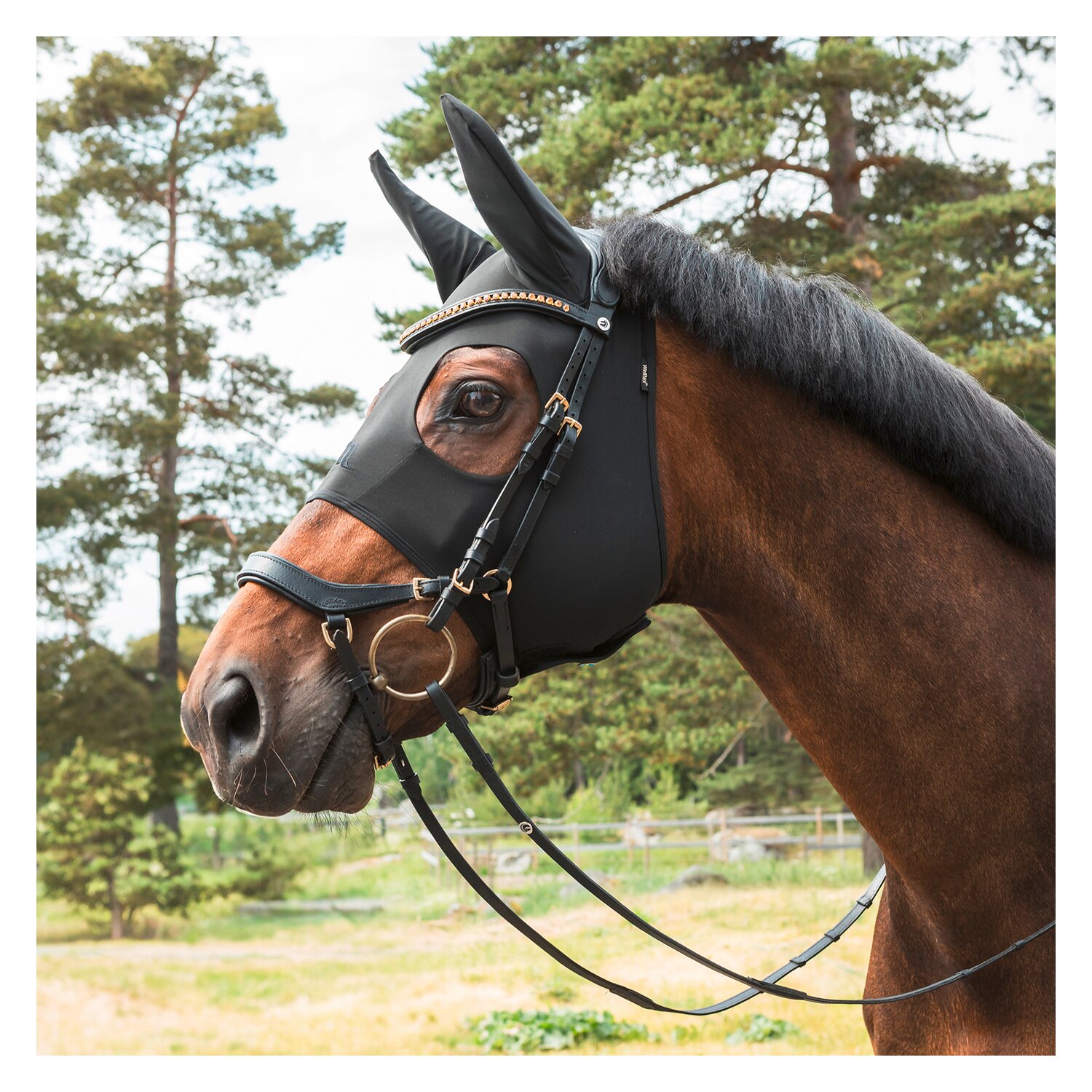 Back on Track Therapiemaske Spirit Calming Maske – Ansicht 2