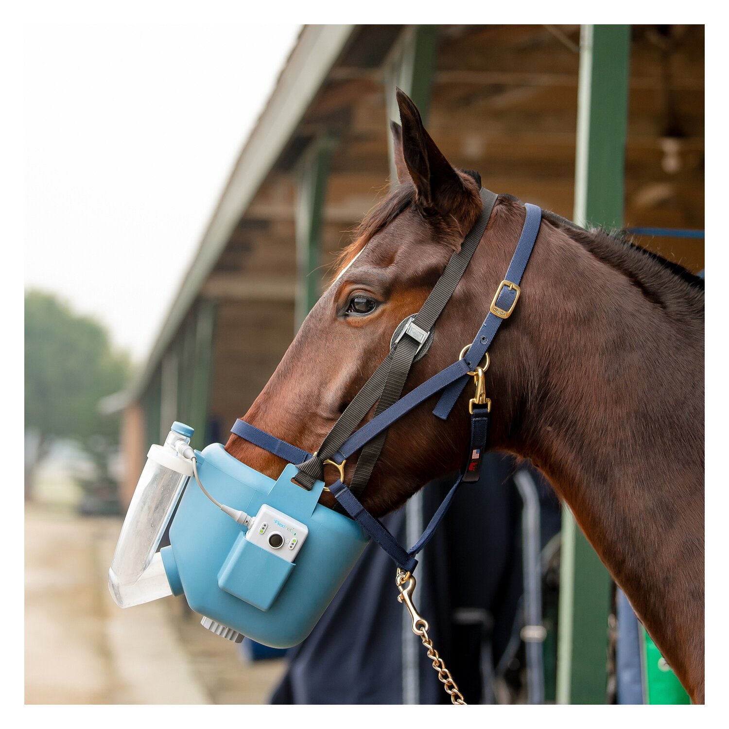 Flexineb Inhalator E3 Complete Set – Ansicht 5