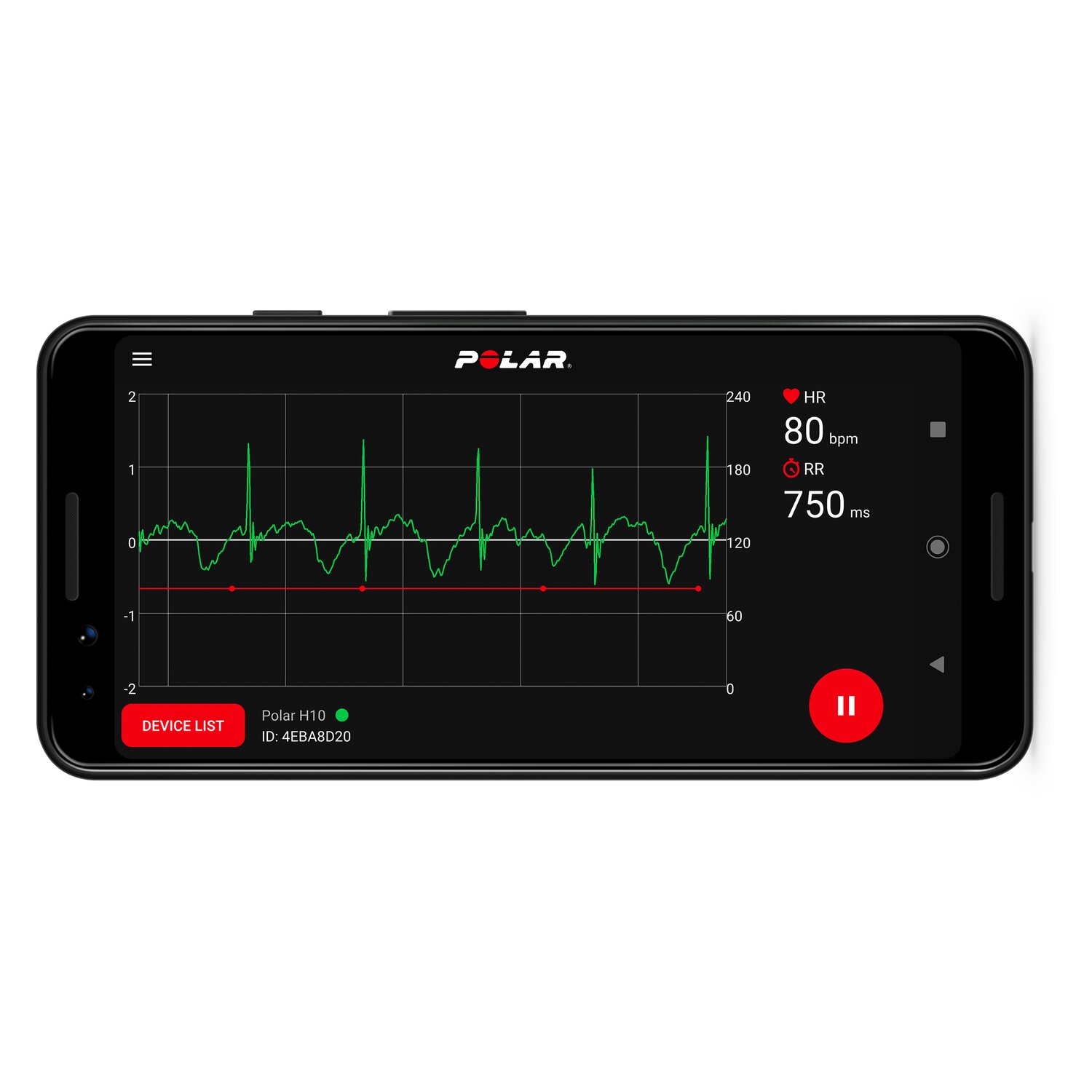 POLAR Tracker H10 HR für Pferde – Ansicht 6